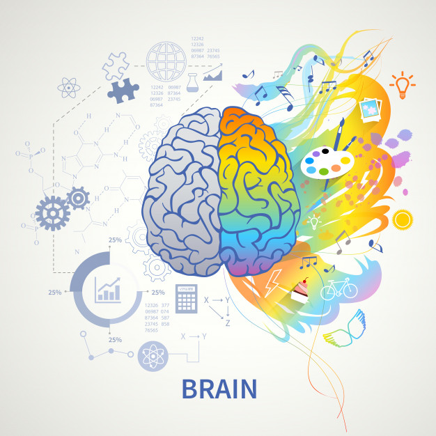 concepto-funciones-cerebrales-representacion-simbolica-infografica-logica-lado-izquierdo-ciencia-matematica-artes-correctas-creatividad_1284-29036.jpg