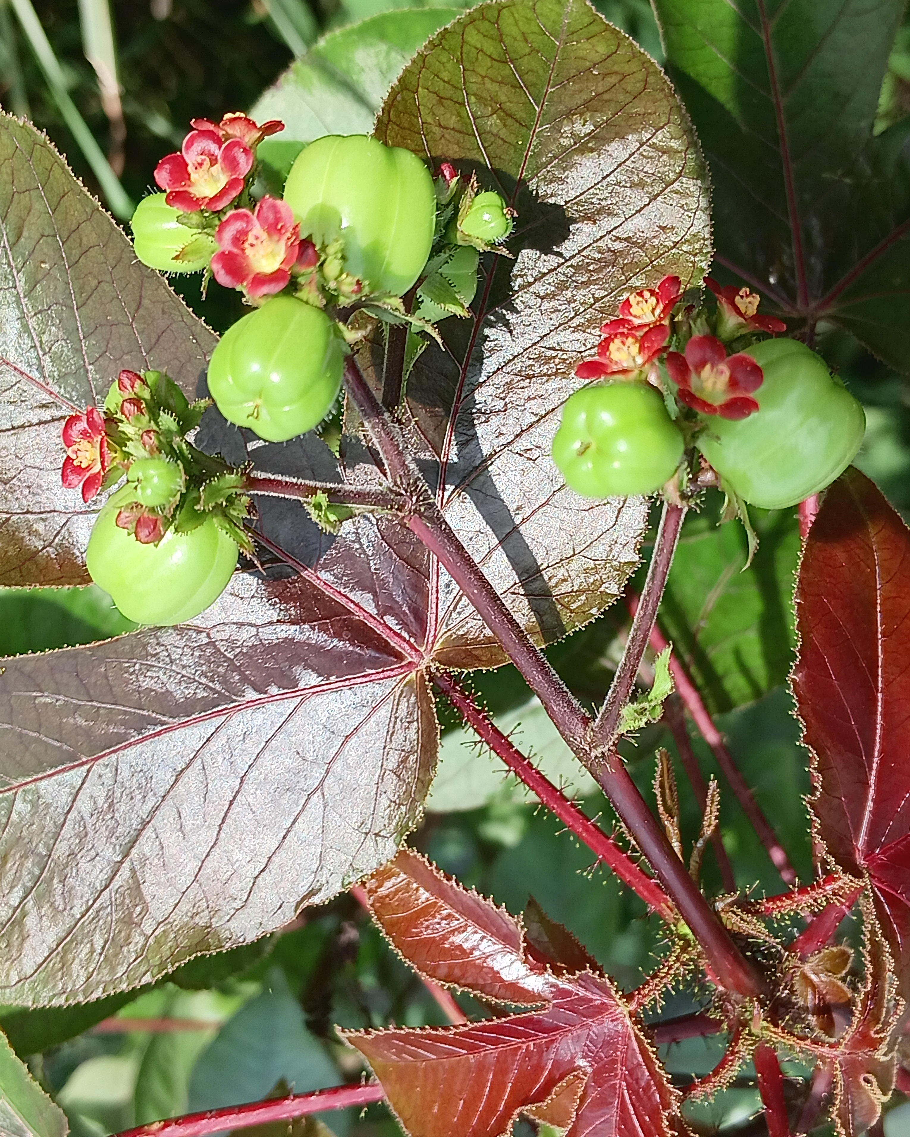 20250801_095603.jpg