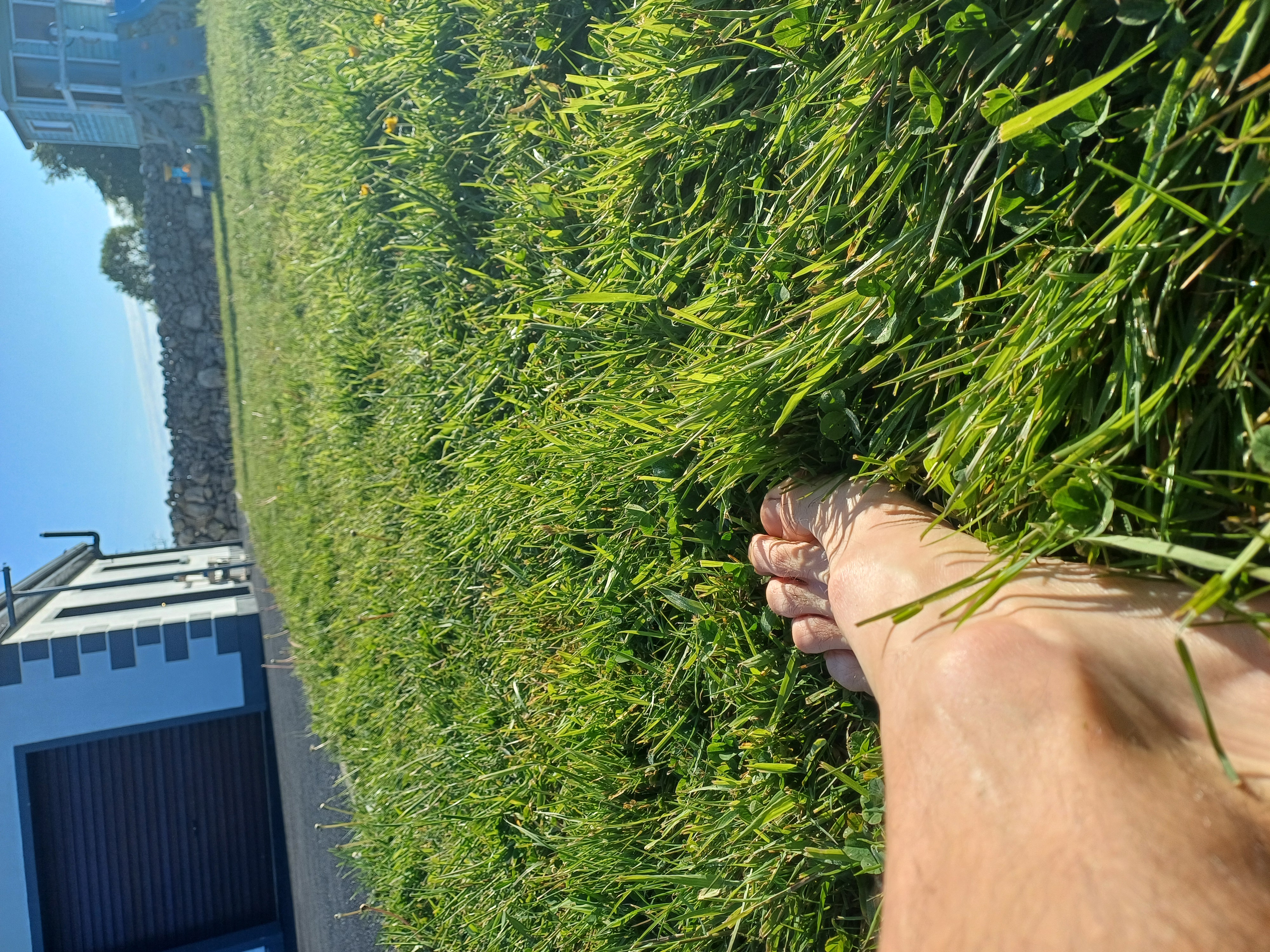 20250512_080633.jpg