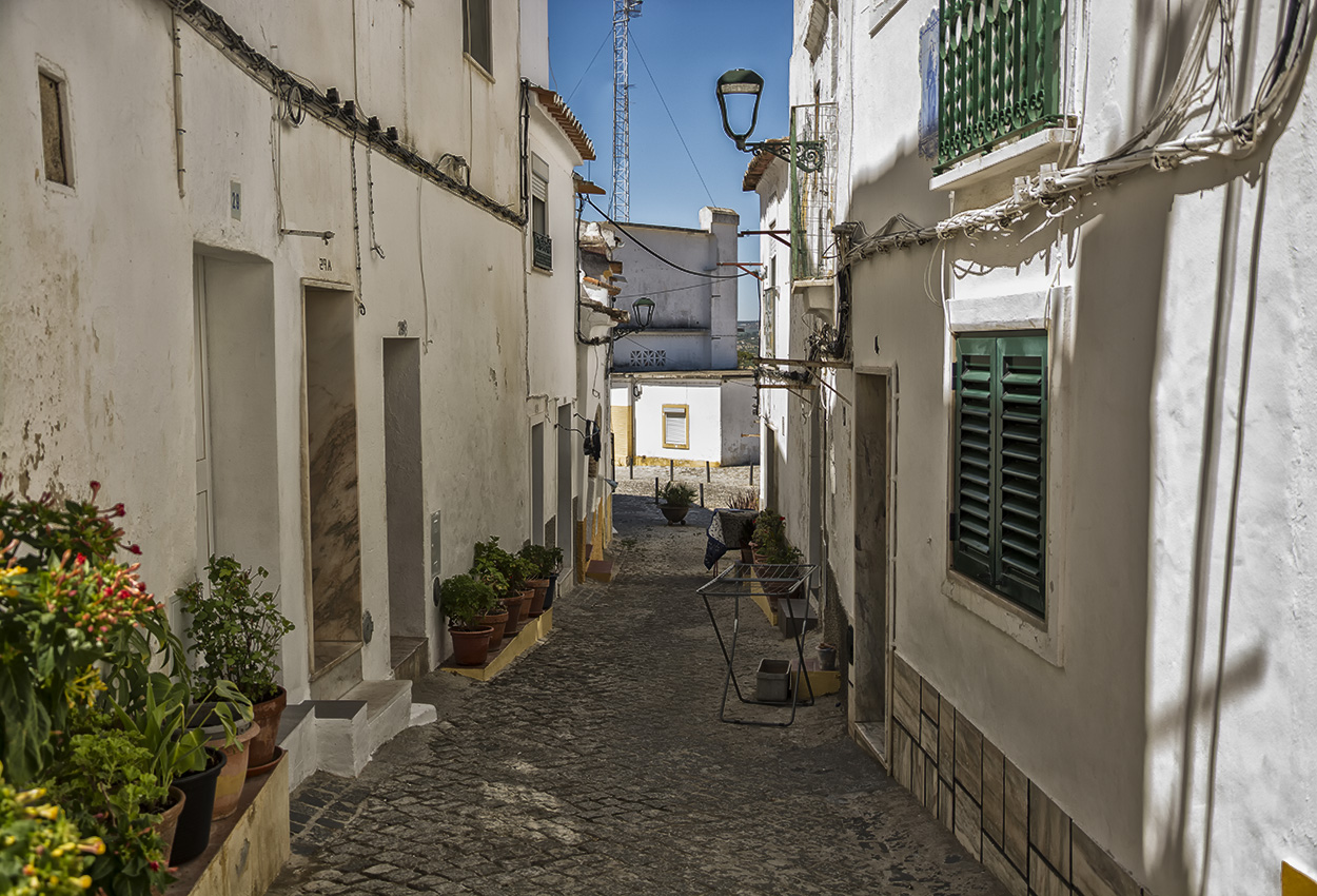 DSC_4376.jpg