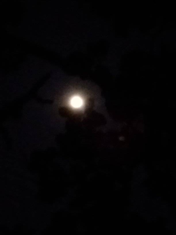 Luna 3.jpg