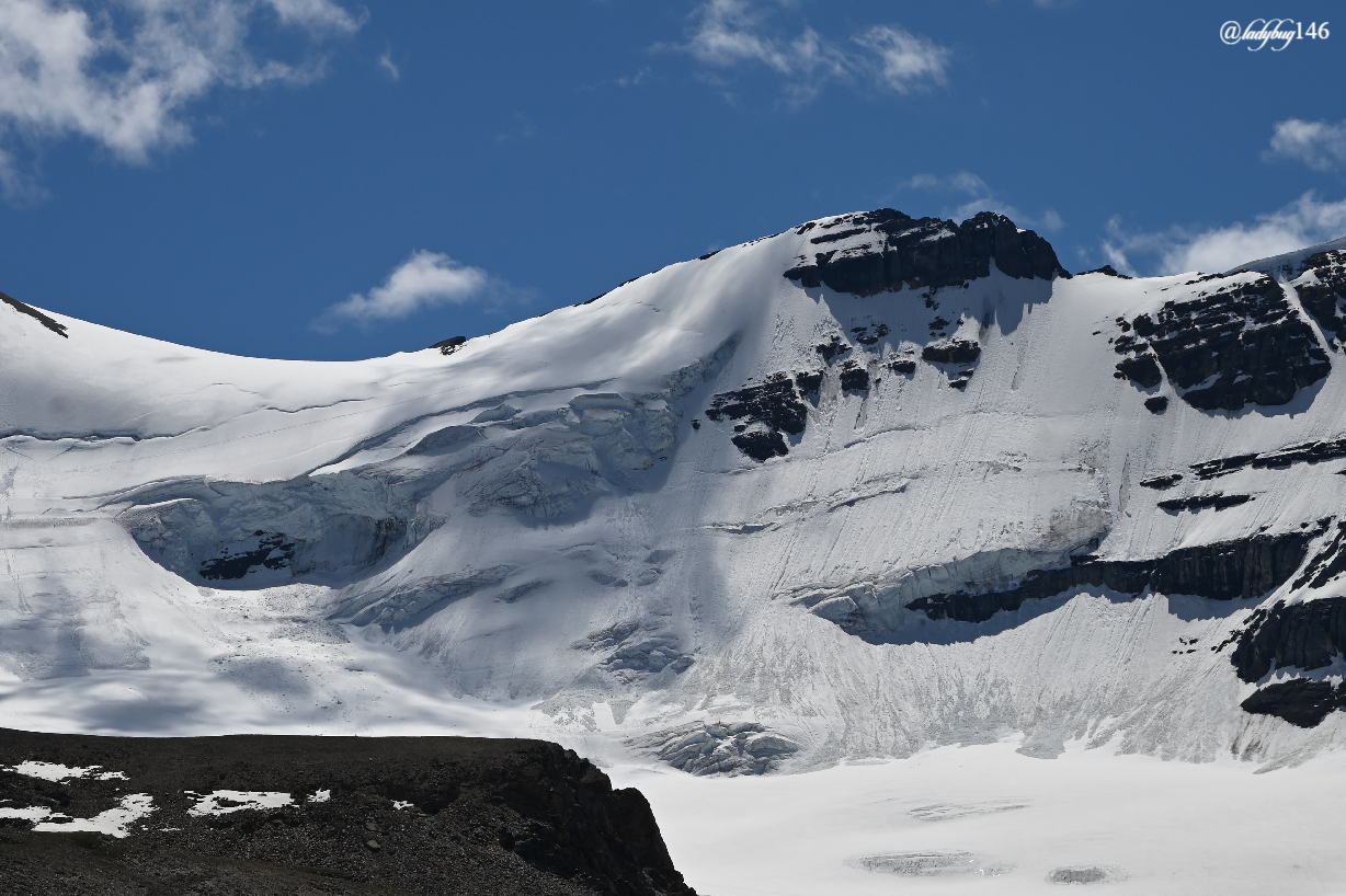 wilcox pass_andromeda glacier.jpg