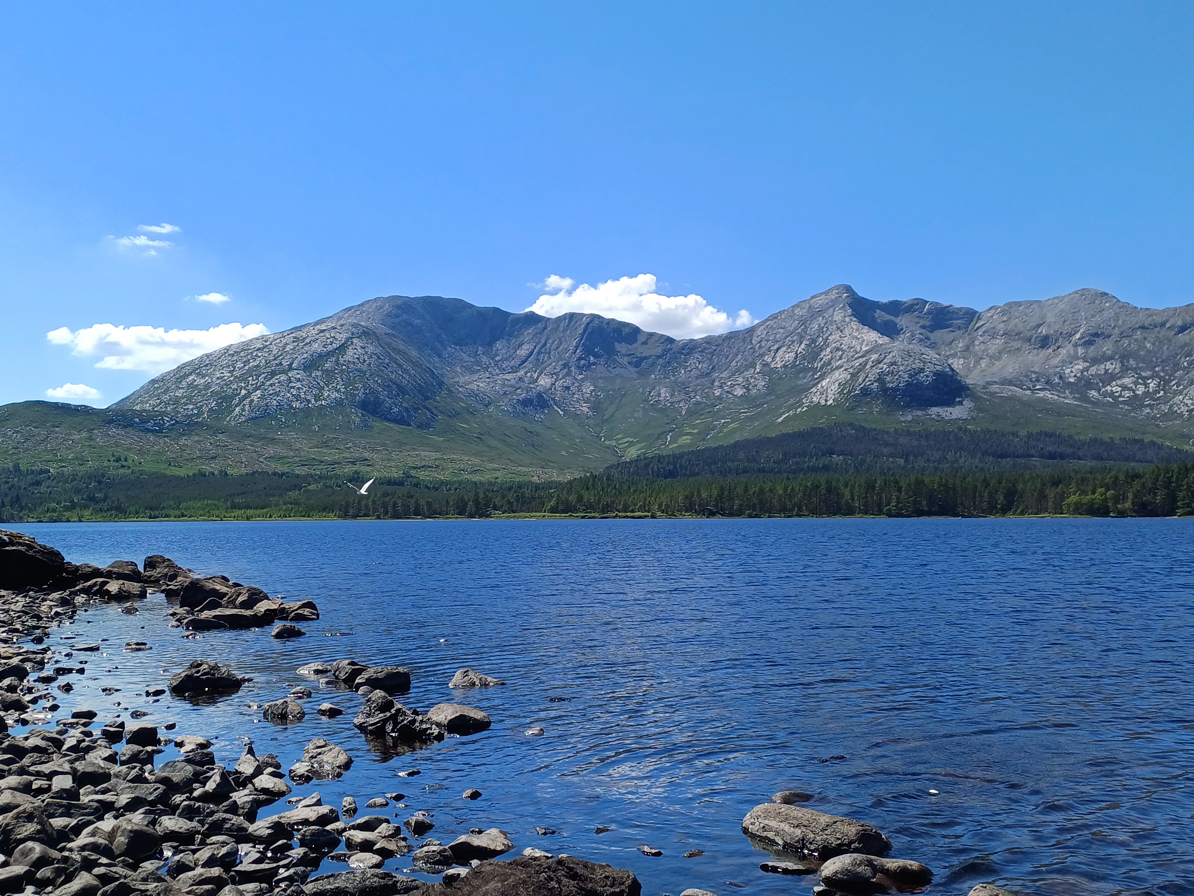 20250518_143530.jpg