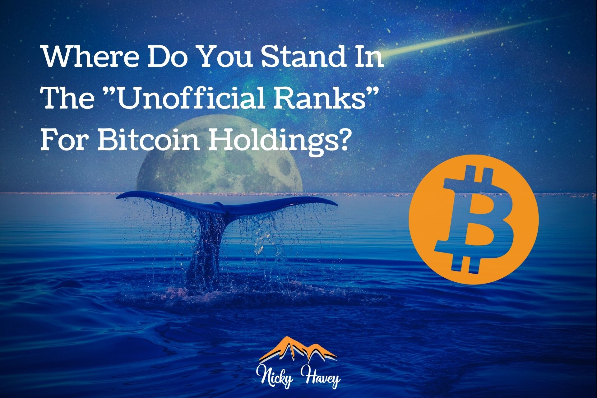 @nickyhavey/where-do-you-stand-in-the-unofficial-ranks-for-bitcoin-holdings