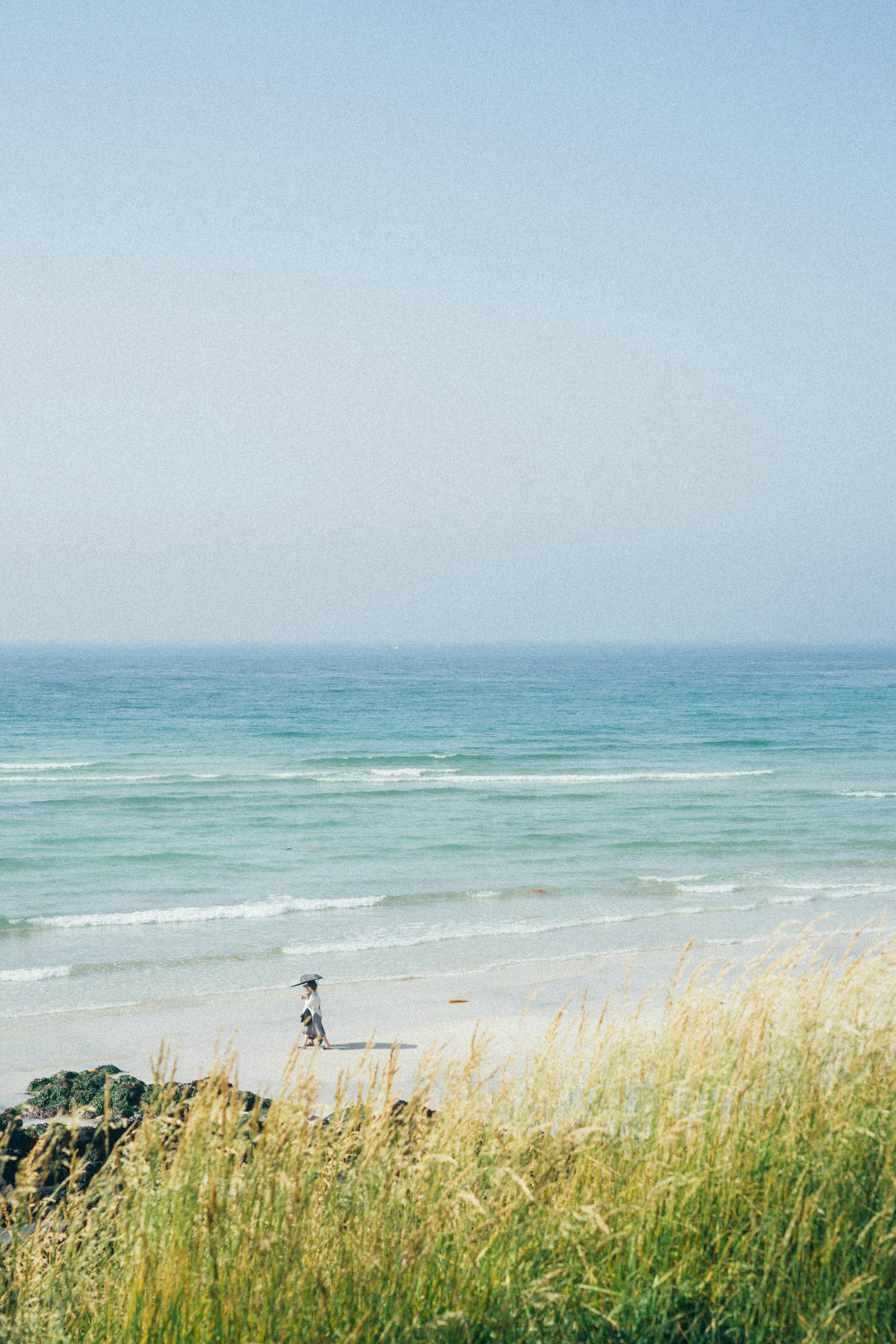 ws-chae-DjFAnsFfiOc-unsplash.jpg