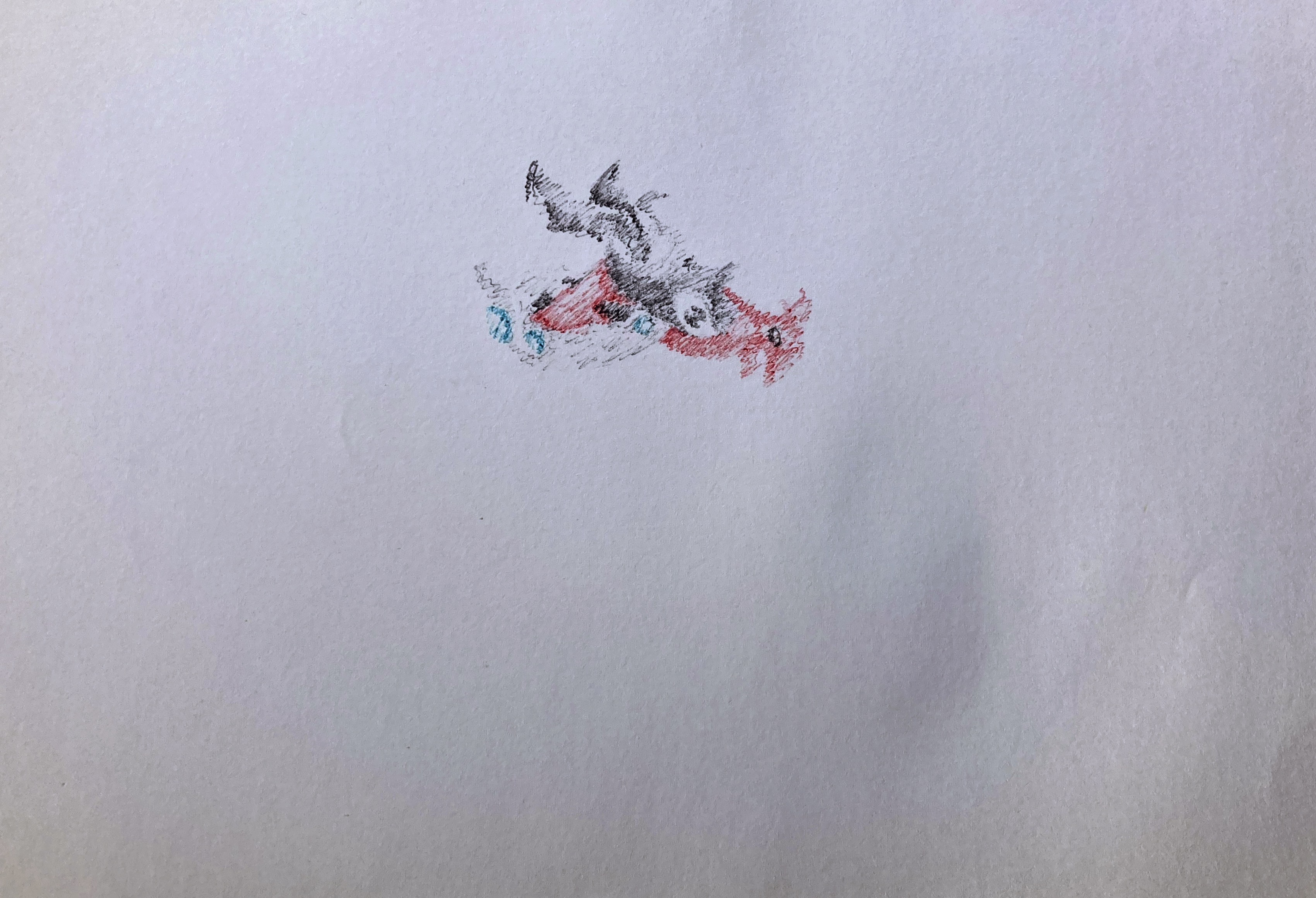 IMG_5416.jpeg