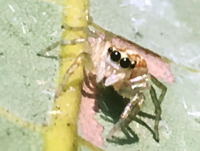 IMG_8909s.png