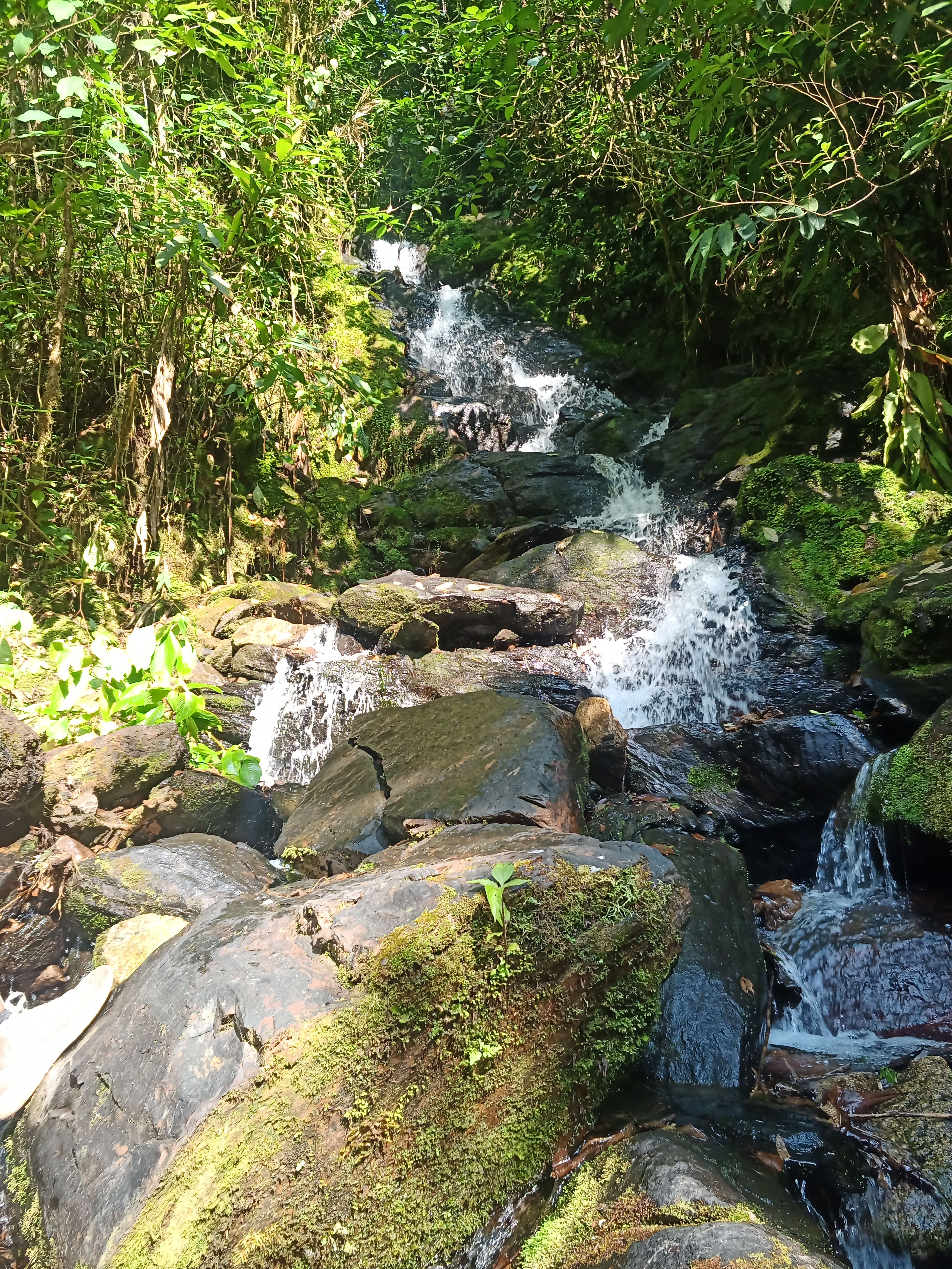 IMG_20220410_161849_688(1).jpg