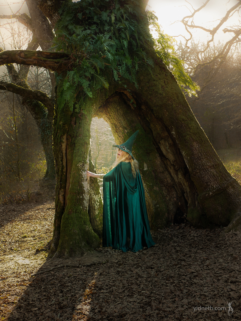 green witch (1) - Priscilla Hernandez.jpg
