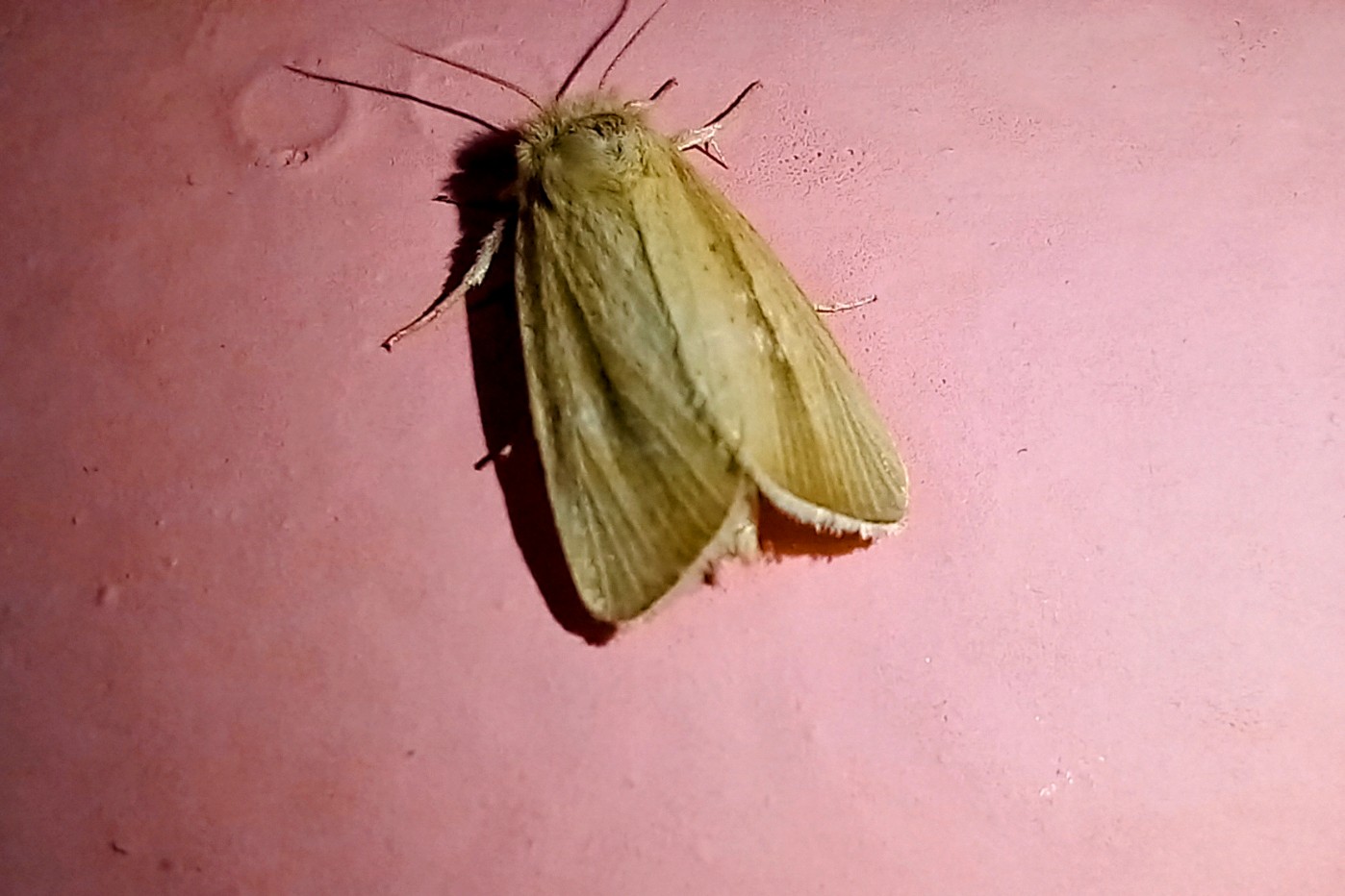 20250520_231601~2.jpg