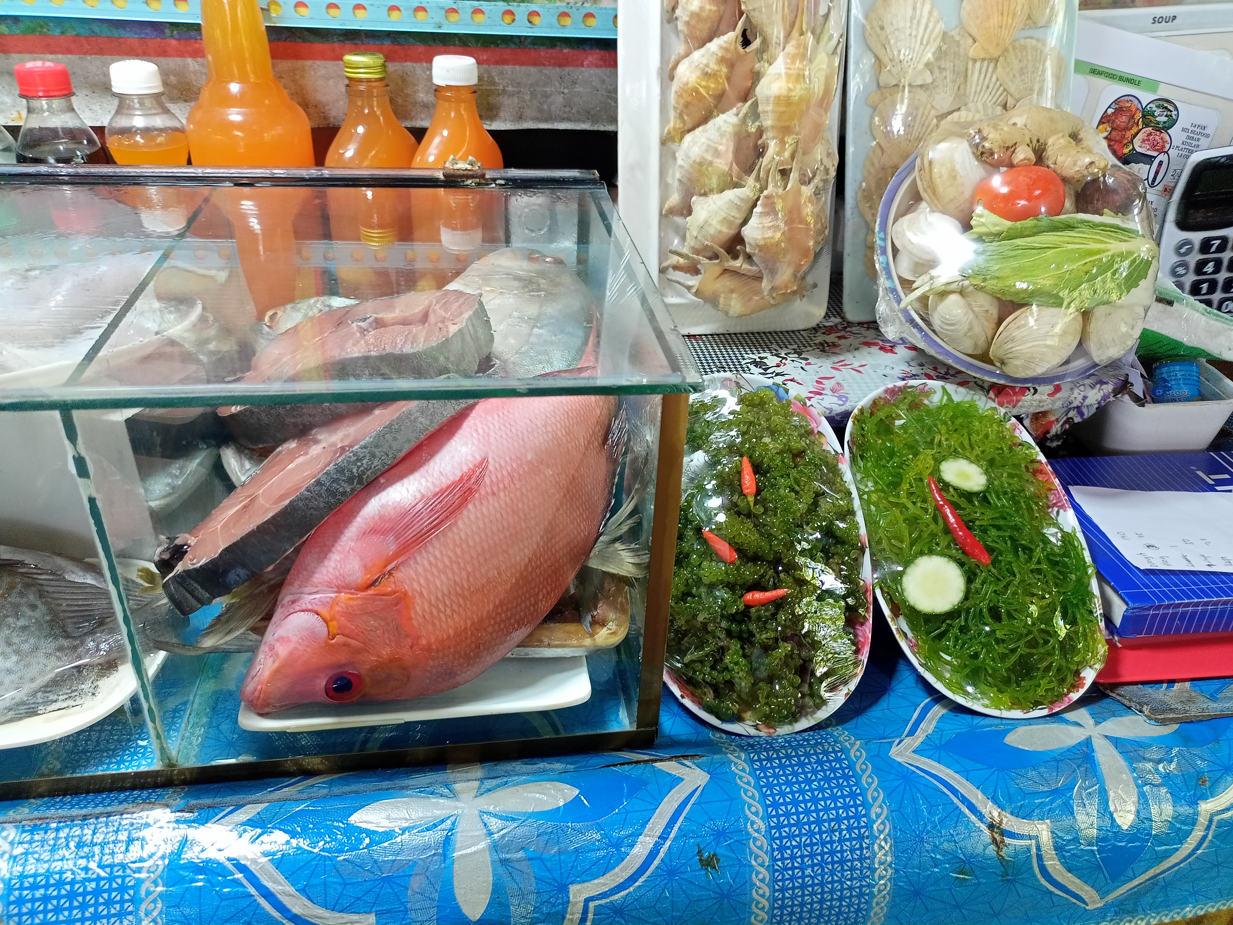 IMG20250415110204.jpg