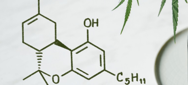 delta 8 cbd.jpg