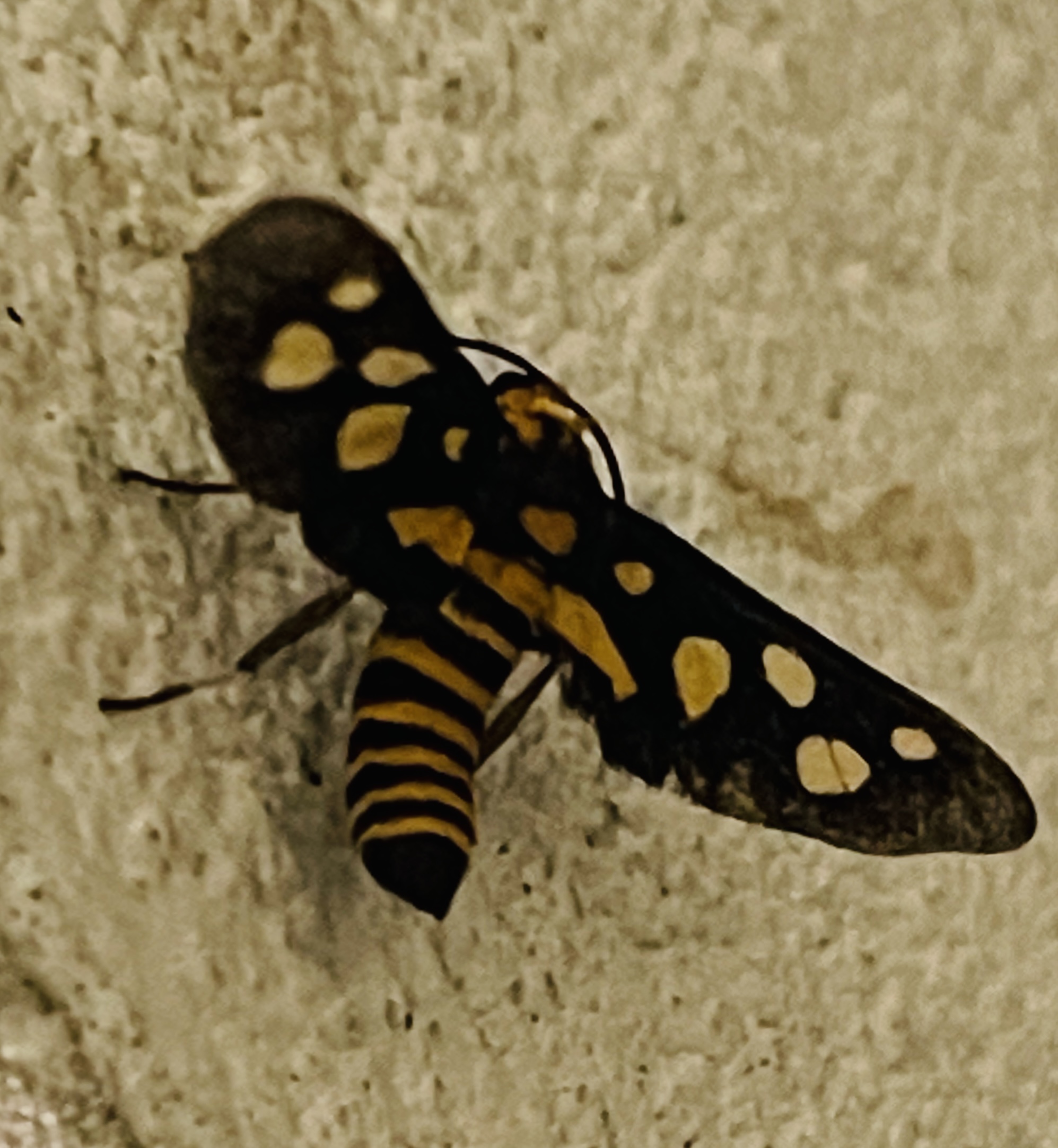 2B8D5FC3-CF40-460F-B467-481BD3F614A2.jpeg