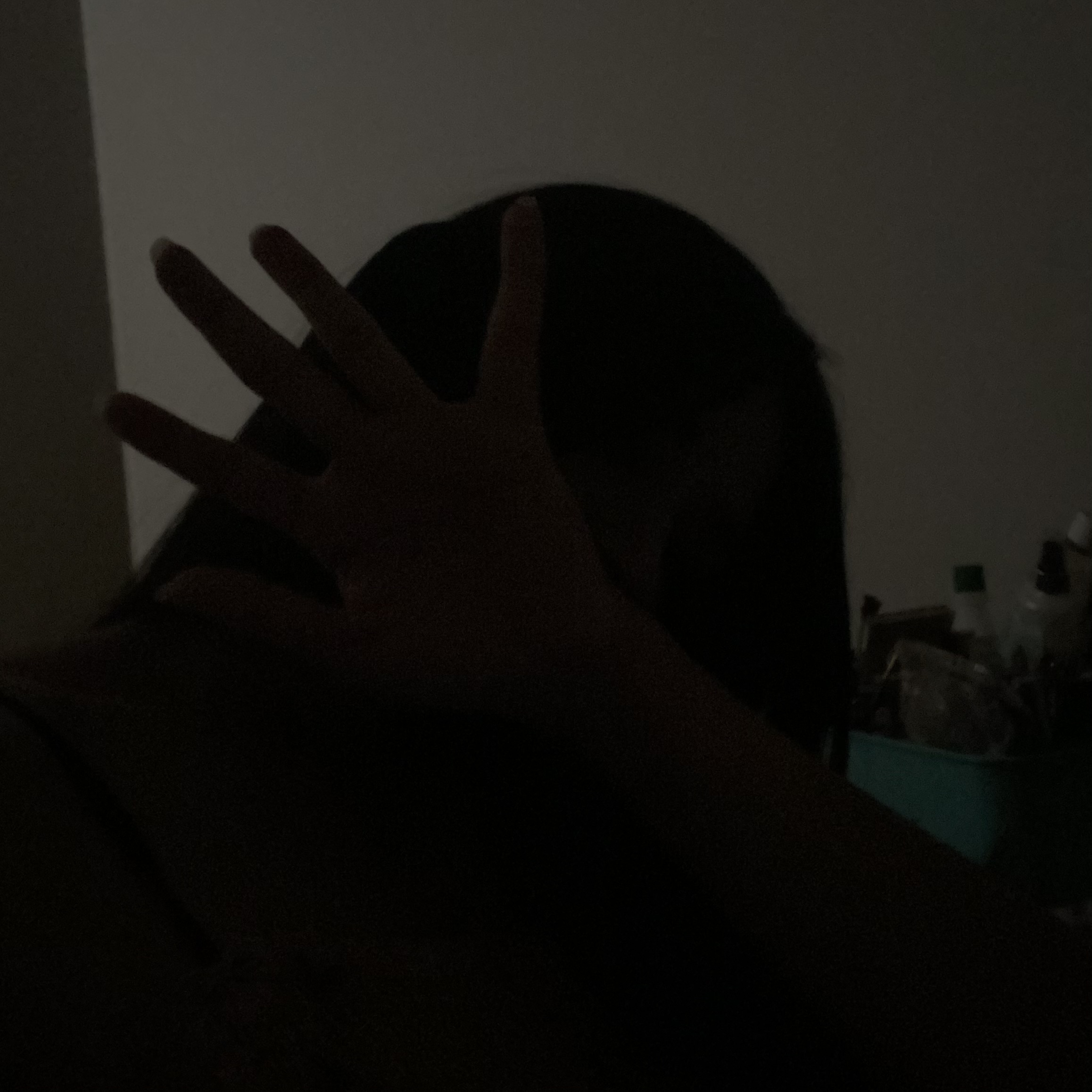 IMG_7484.jpeg