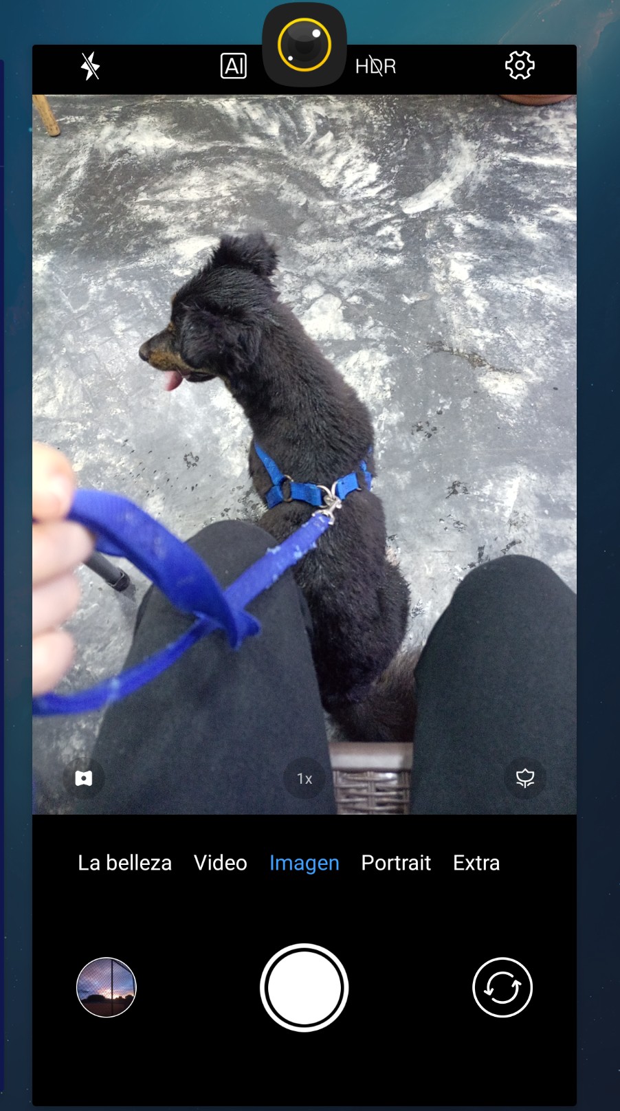 Screenshot_20250509-190320956.jpg