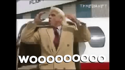 giphy (12).gif