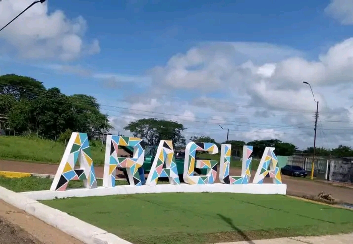 1000168030.jpg