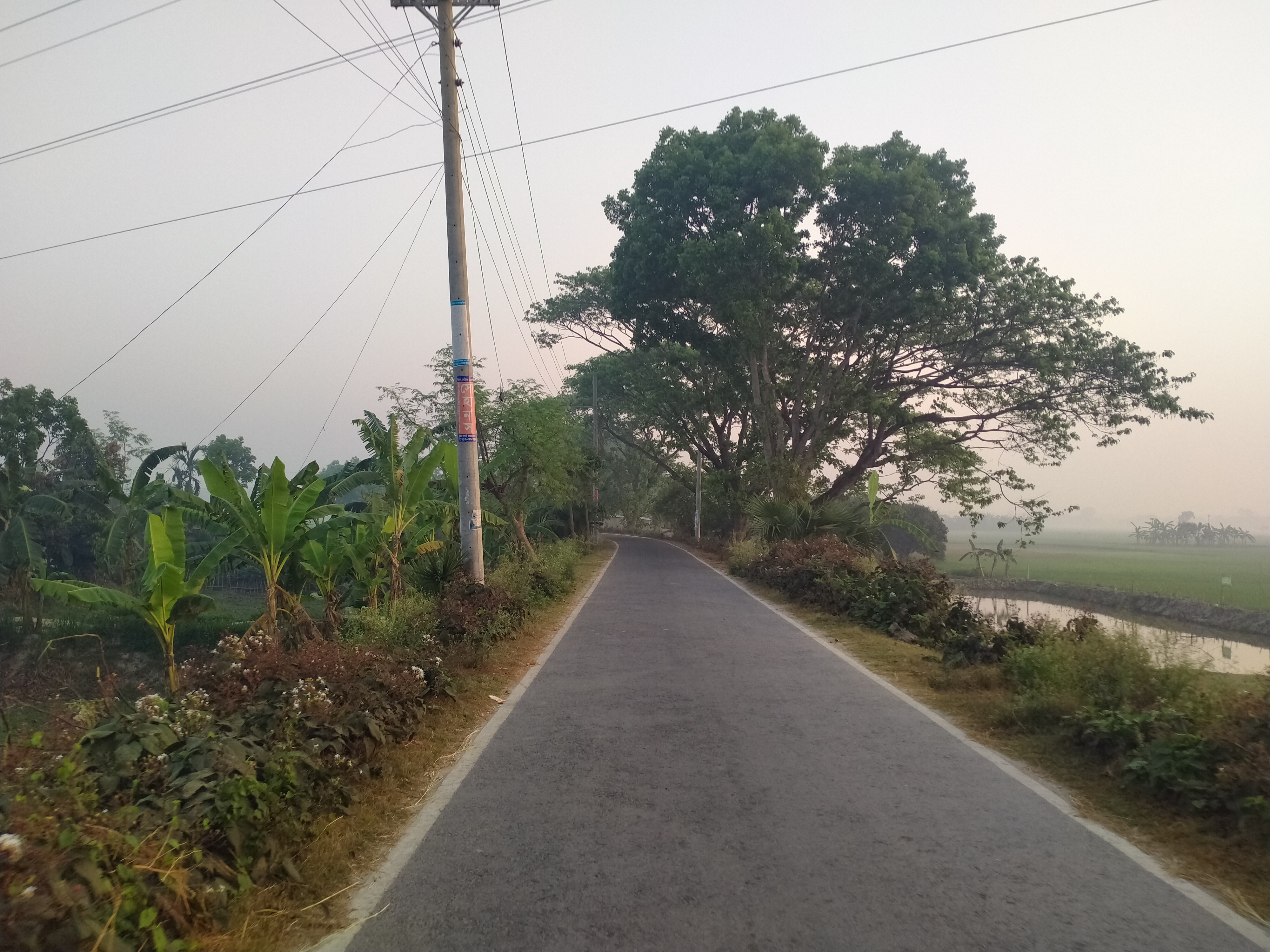 IMG20250329062318.jpg