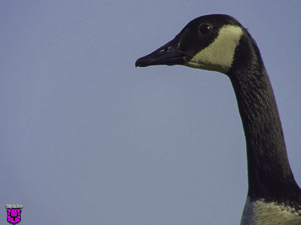462709953_8451198898296316_965057127975154917_n-2.JPG