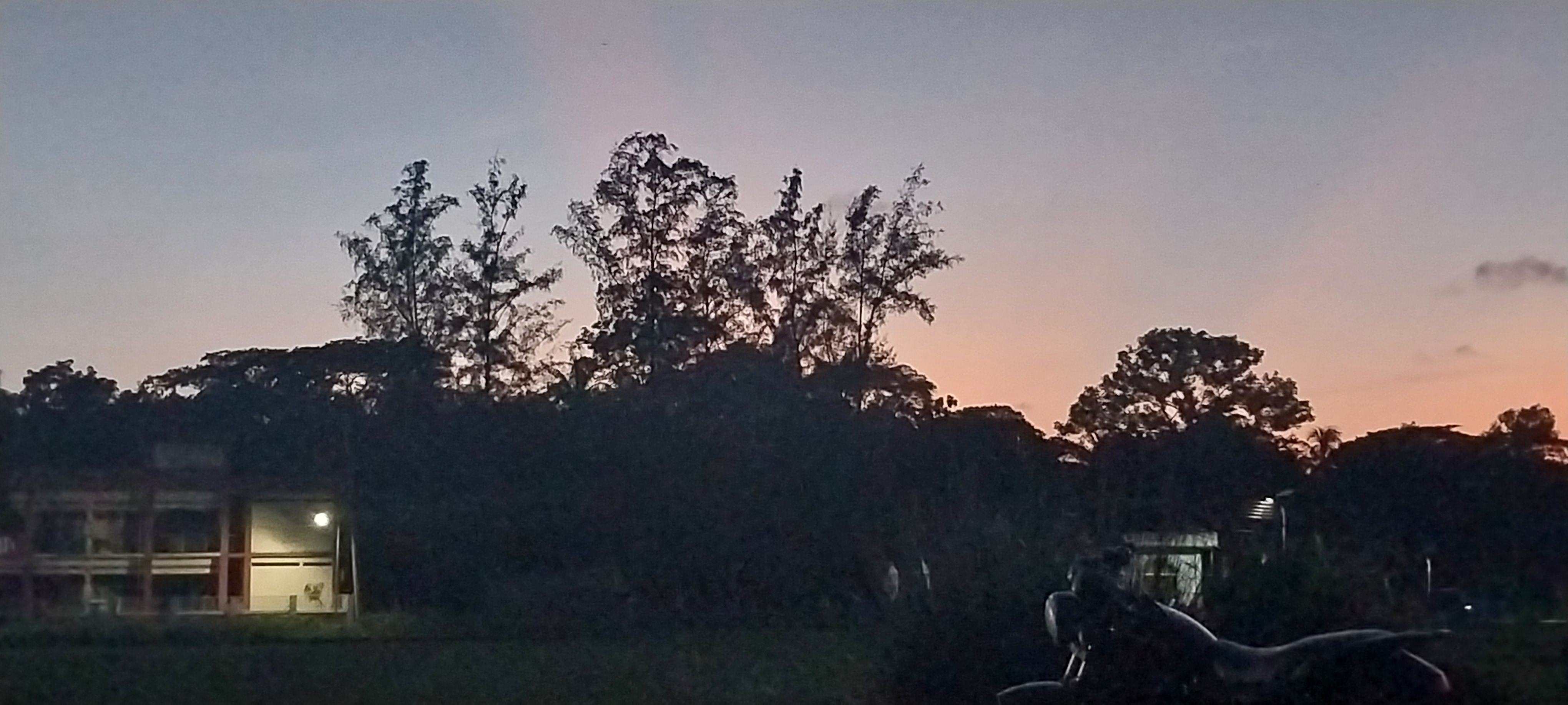 20250627_191003.jpg