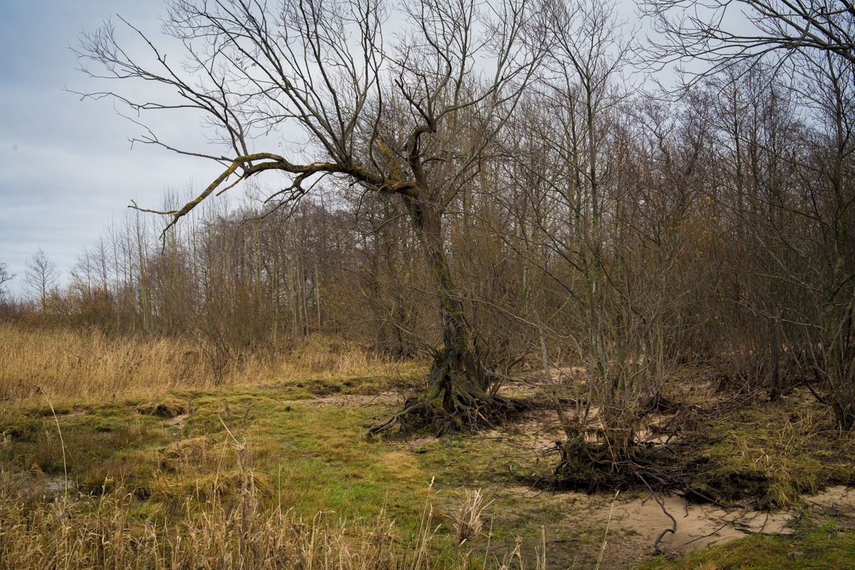 DSC06067.jpg