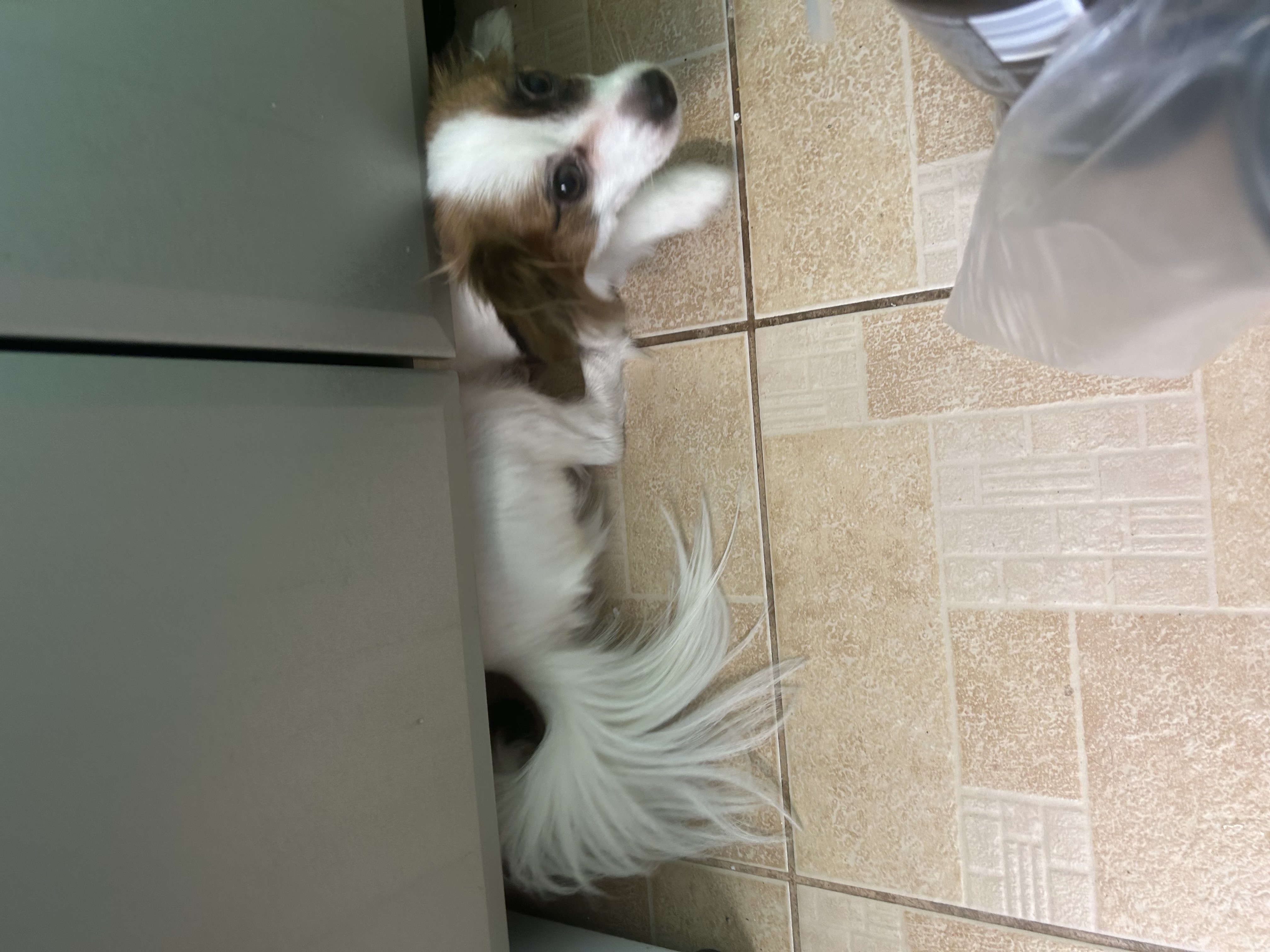 IMG_7554.jpeg