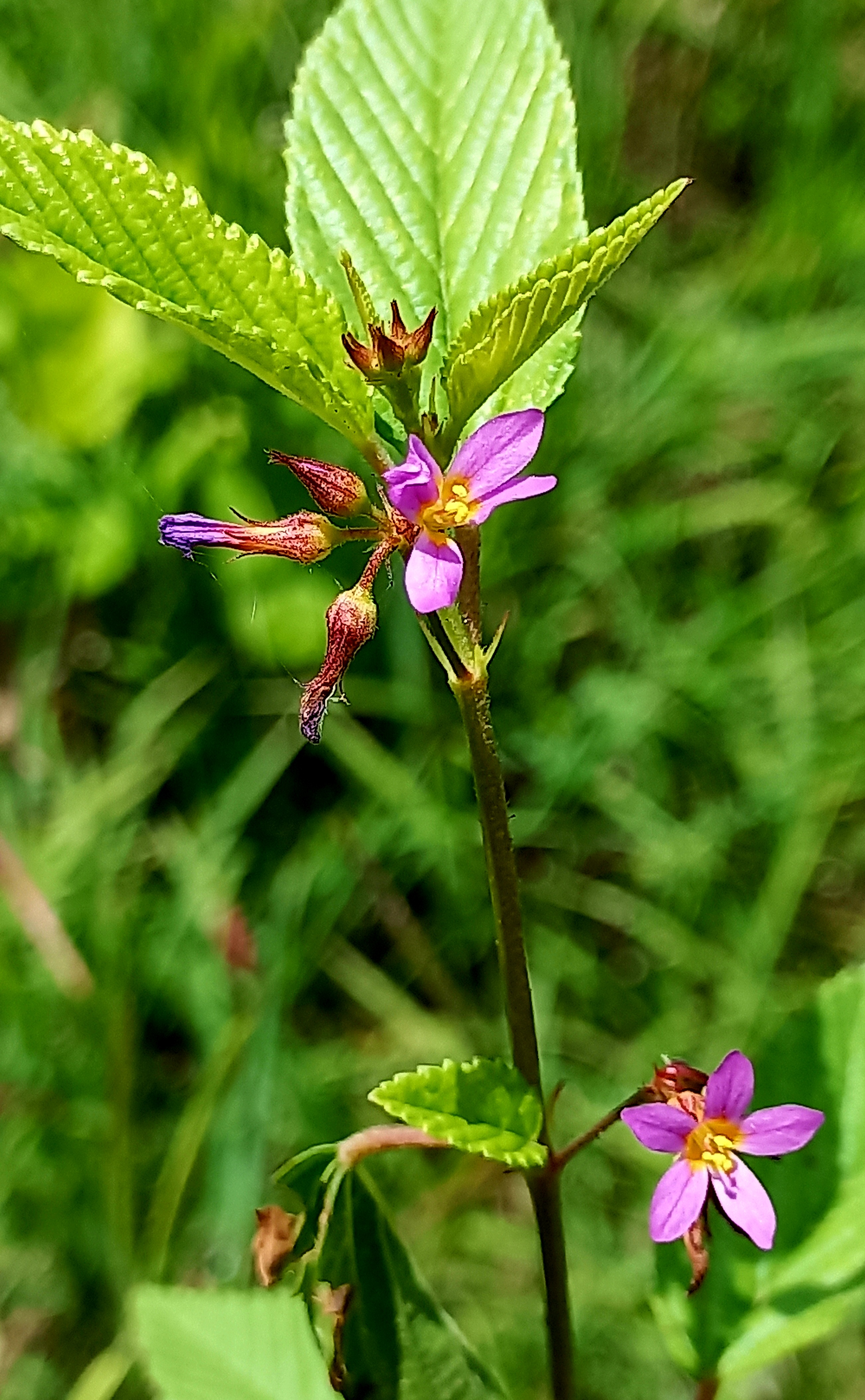 20220906_112052.jpg