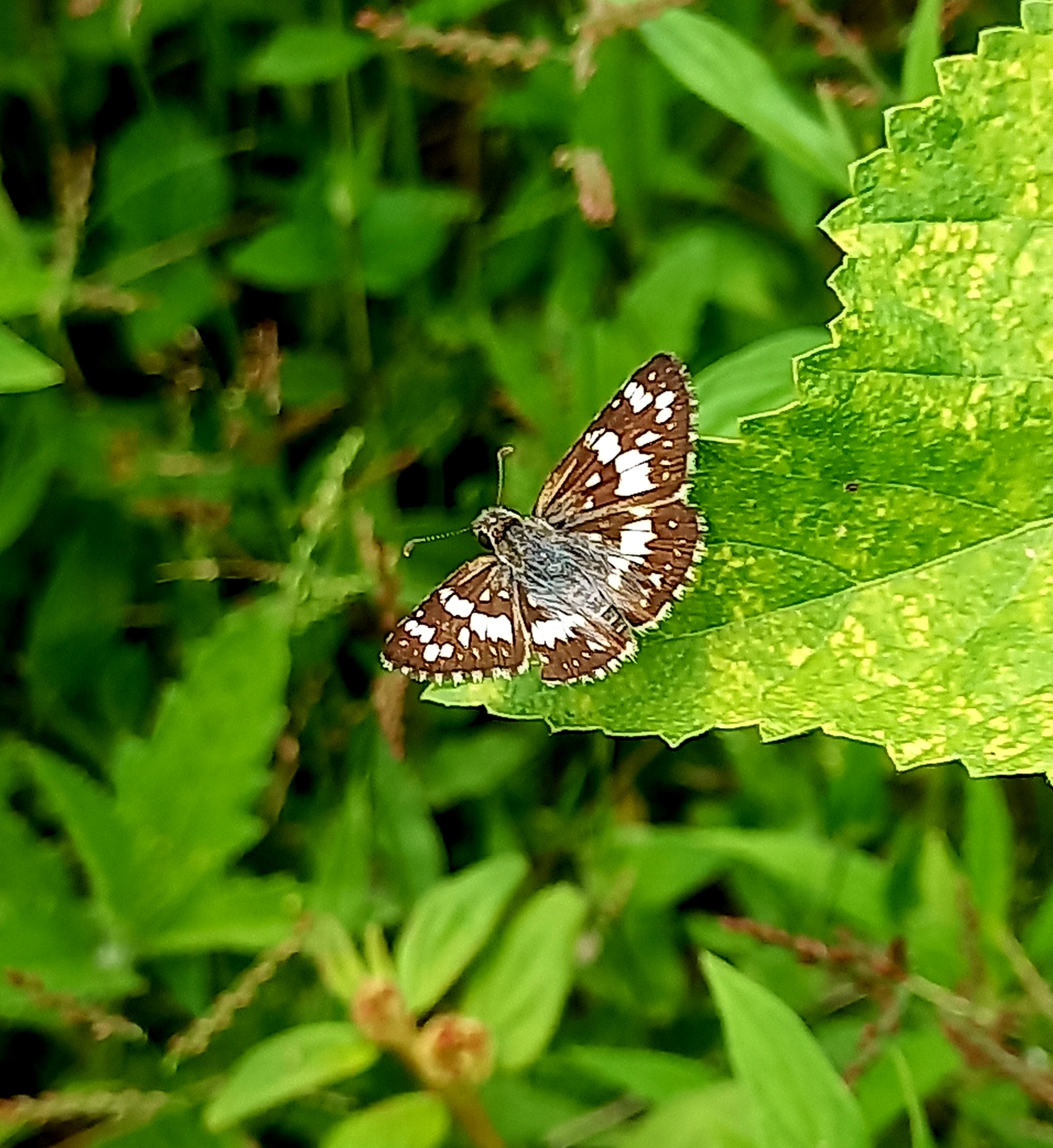 20220906_112005.jpg