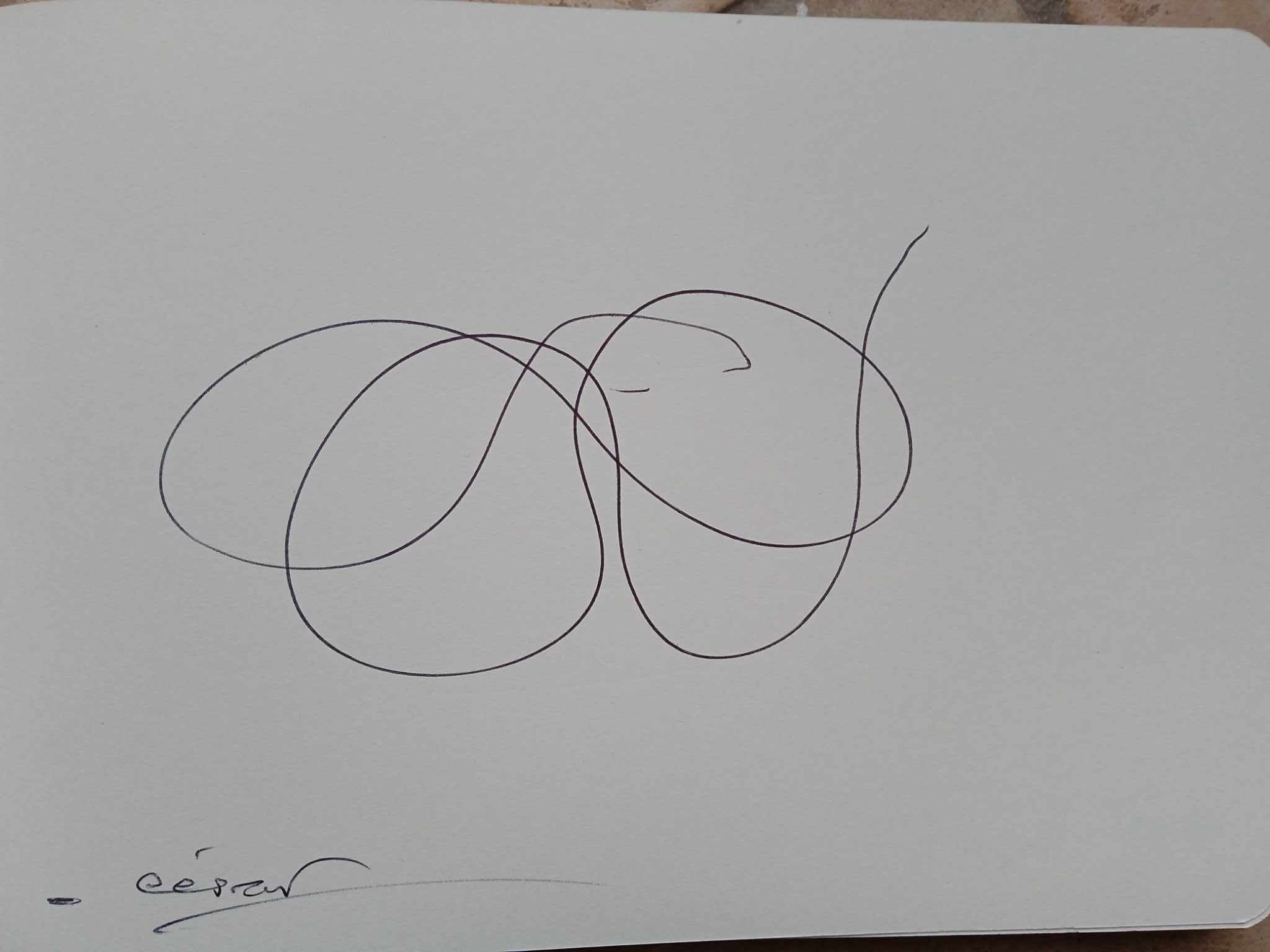 dibujo772A.jpg