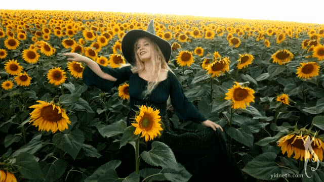Mother_ Lammas Summer Incantation _ Sunflowers (5).gif