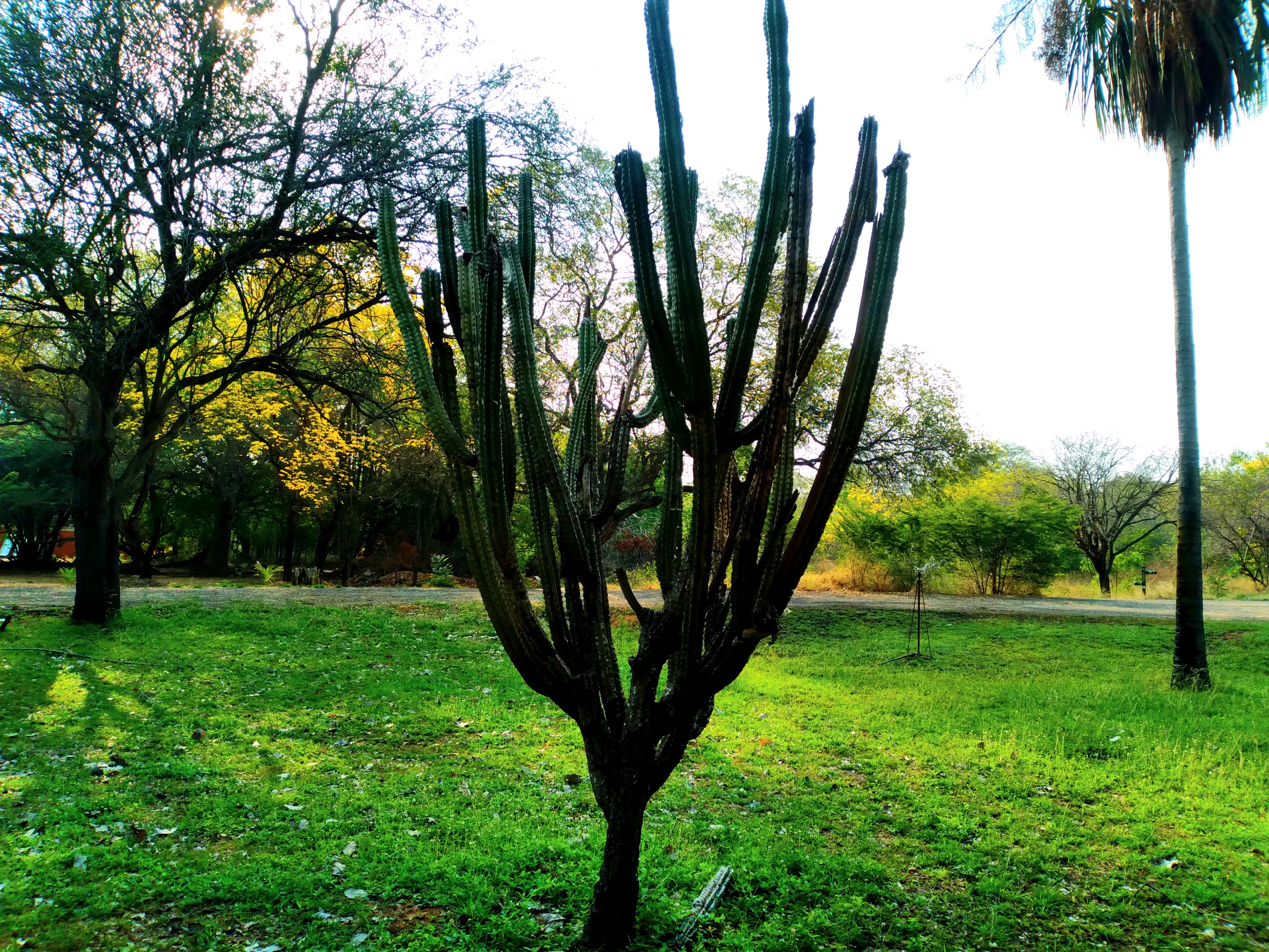 20250321_084400.jpg