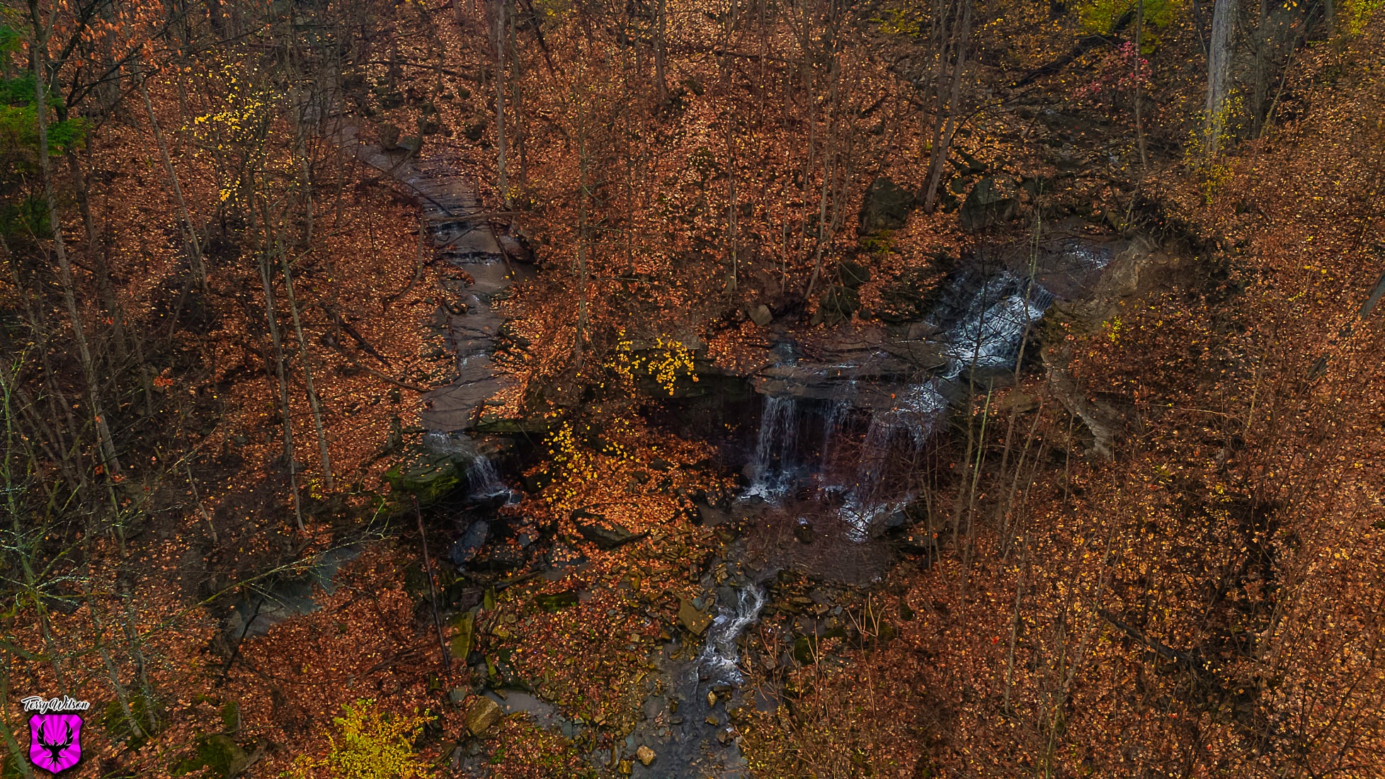 2320b6e5-0ce6-4983-a66c-11501d7788c7.jfif