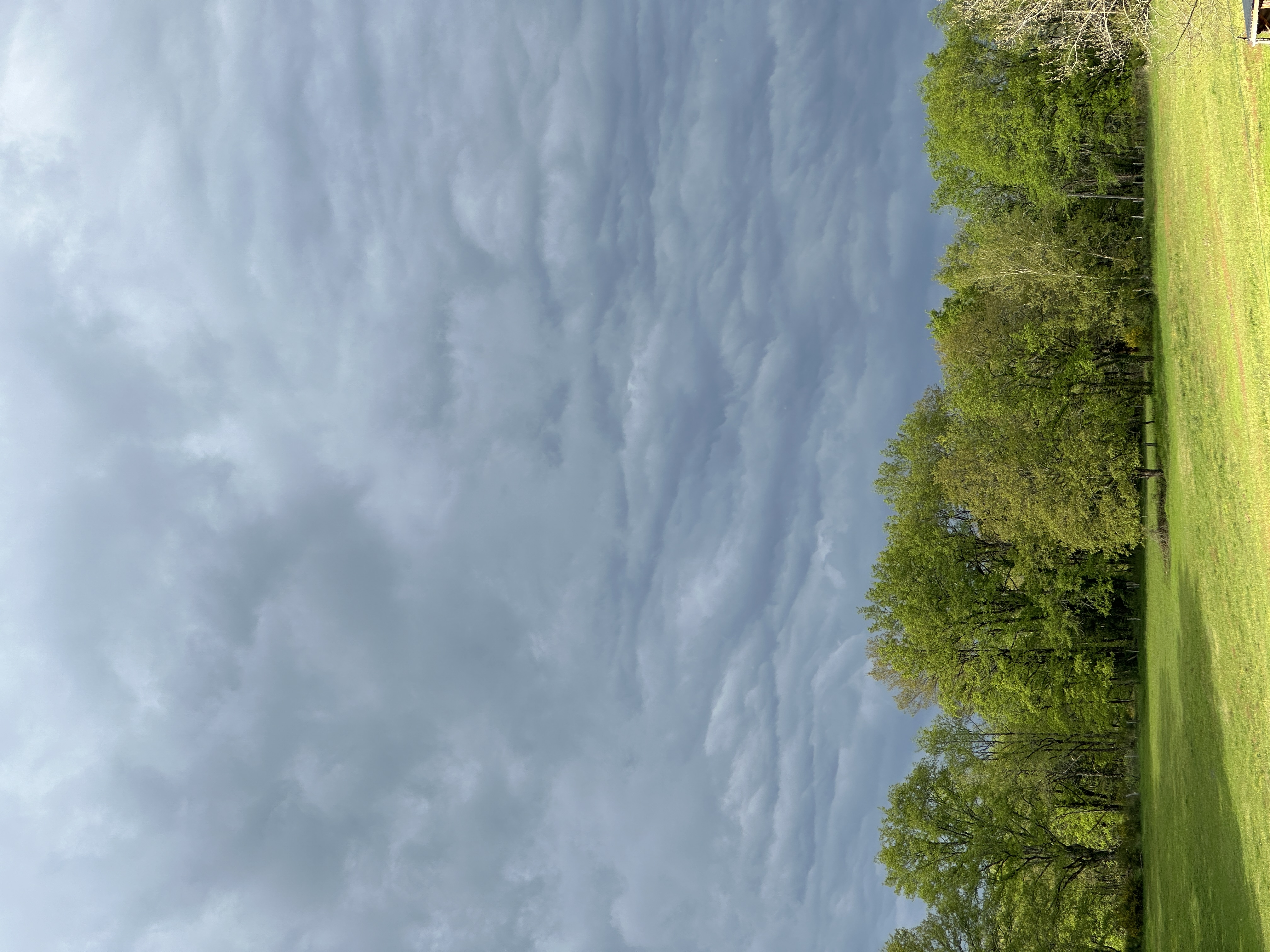 IMG_2301.jpeg