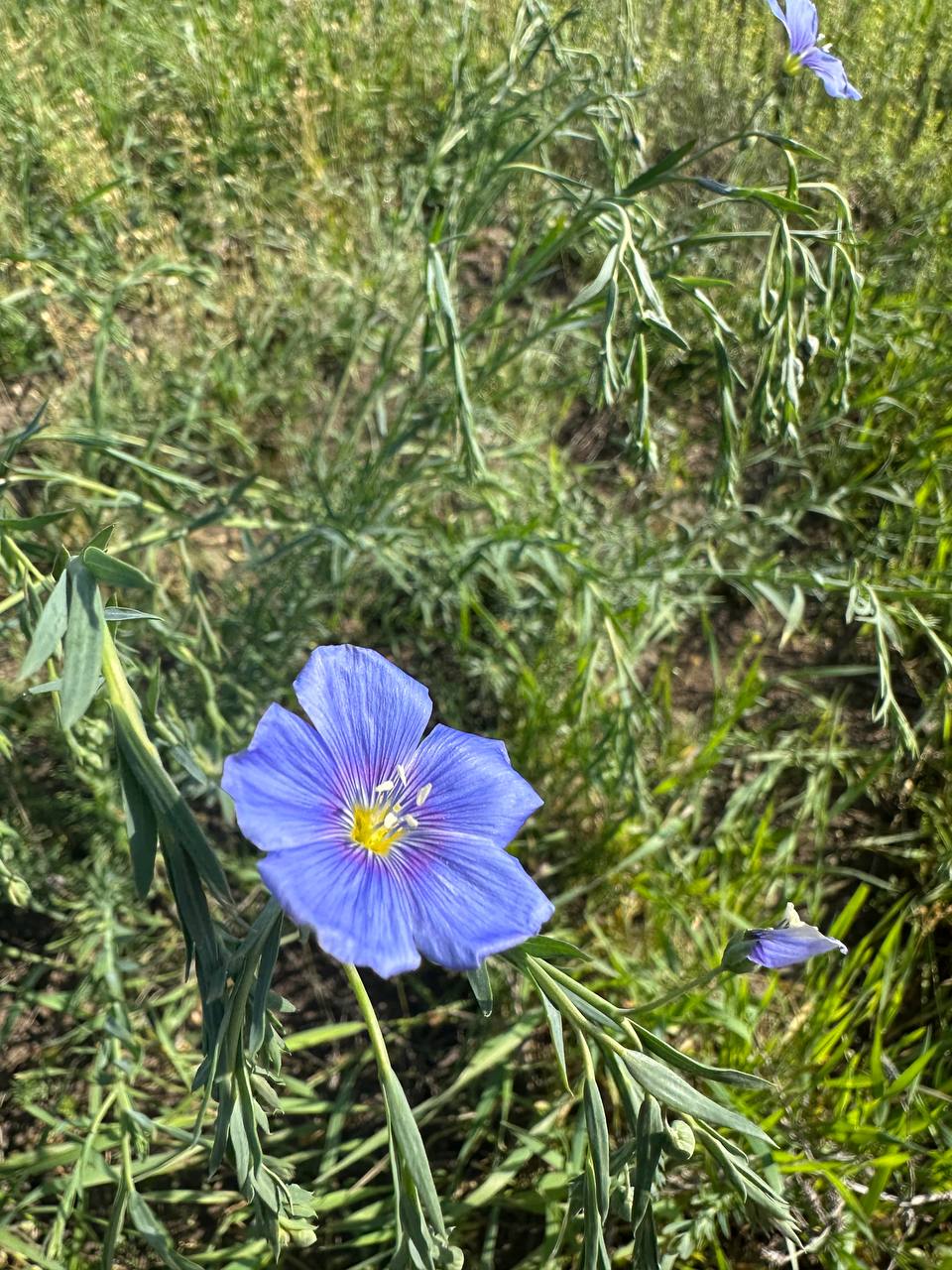 IMG_3936.jpeg
