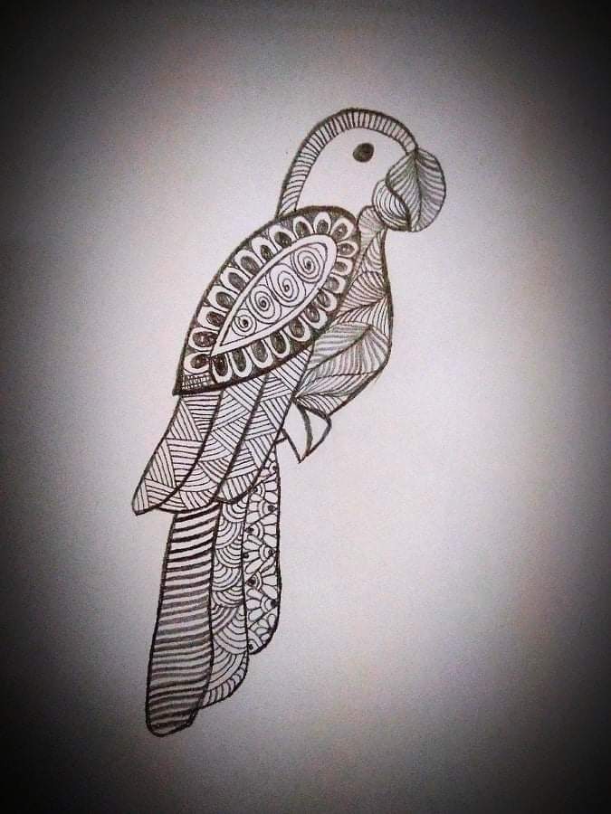 Sketch-Parrot. Nature. Drawings. Pictures. Drawings ideas for kids. Easy  and simple.