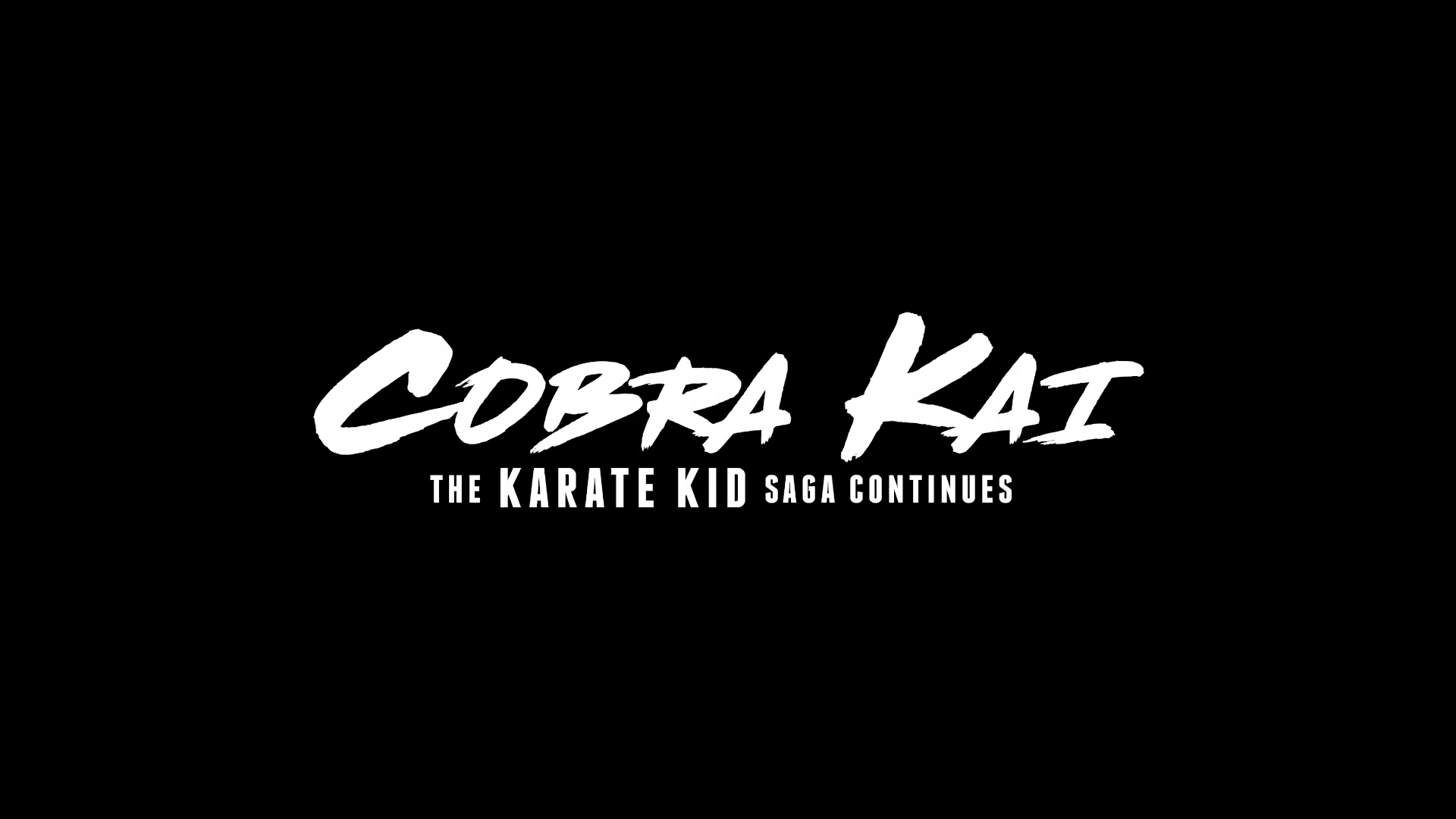 Cobra Kai The Karate Kid Saga Continues - Review - PSX Brasil