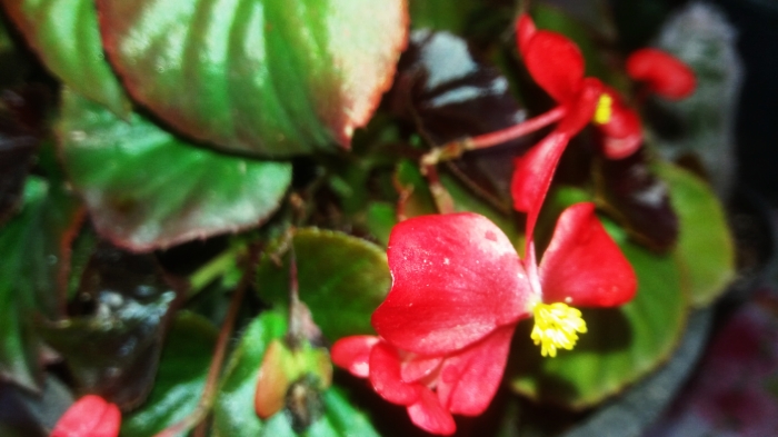 CYMERA_20201113_123617.jpg