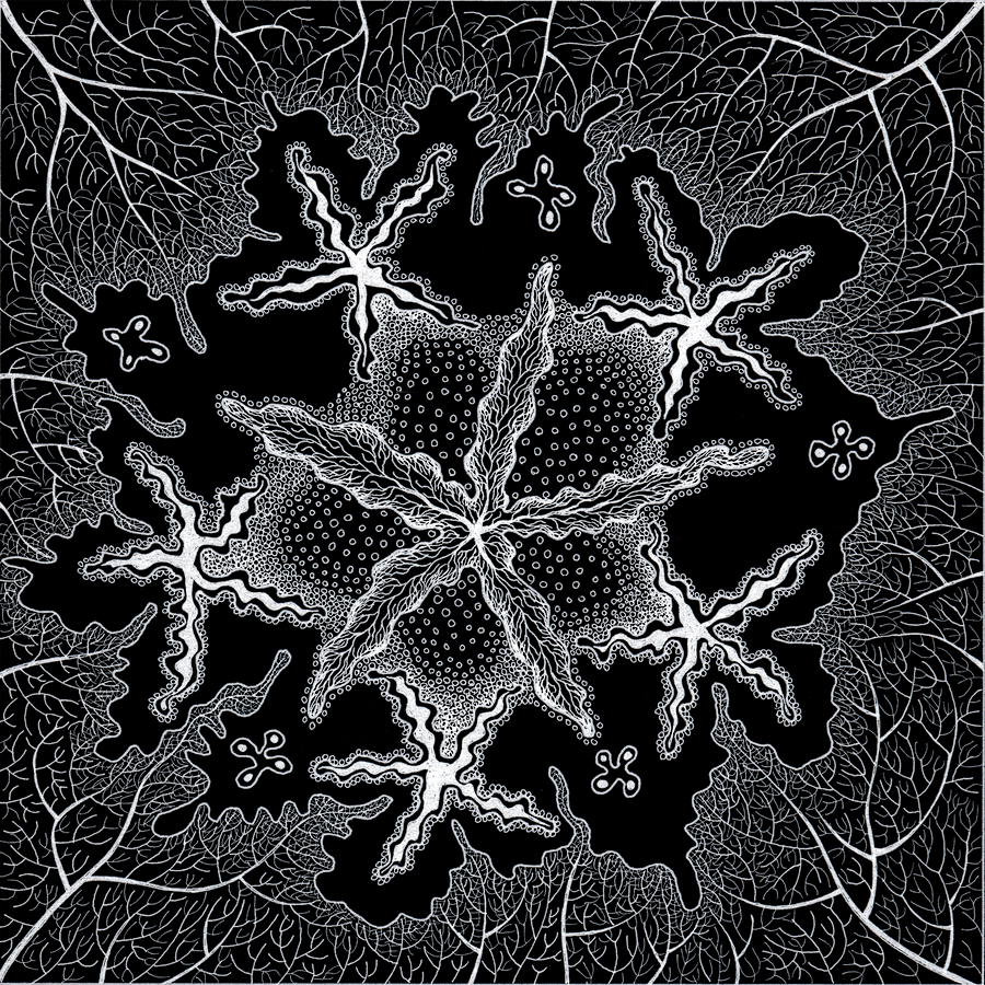 csipke-a.jpg
