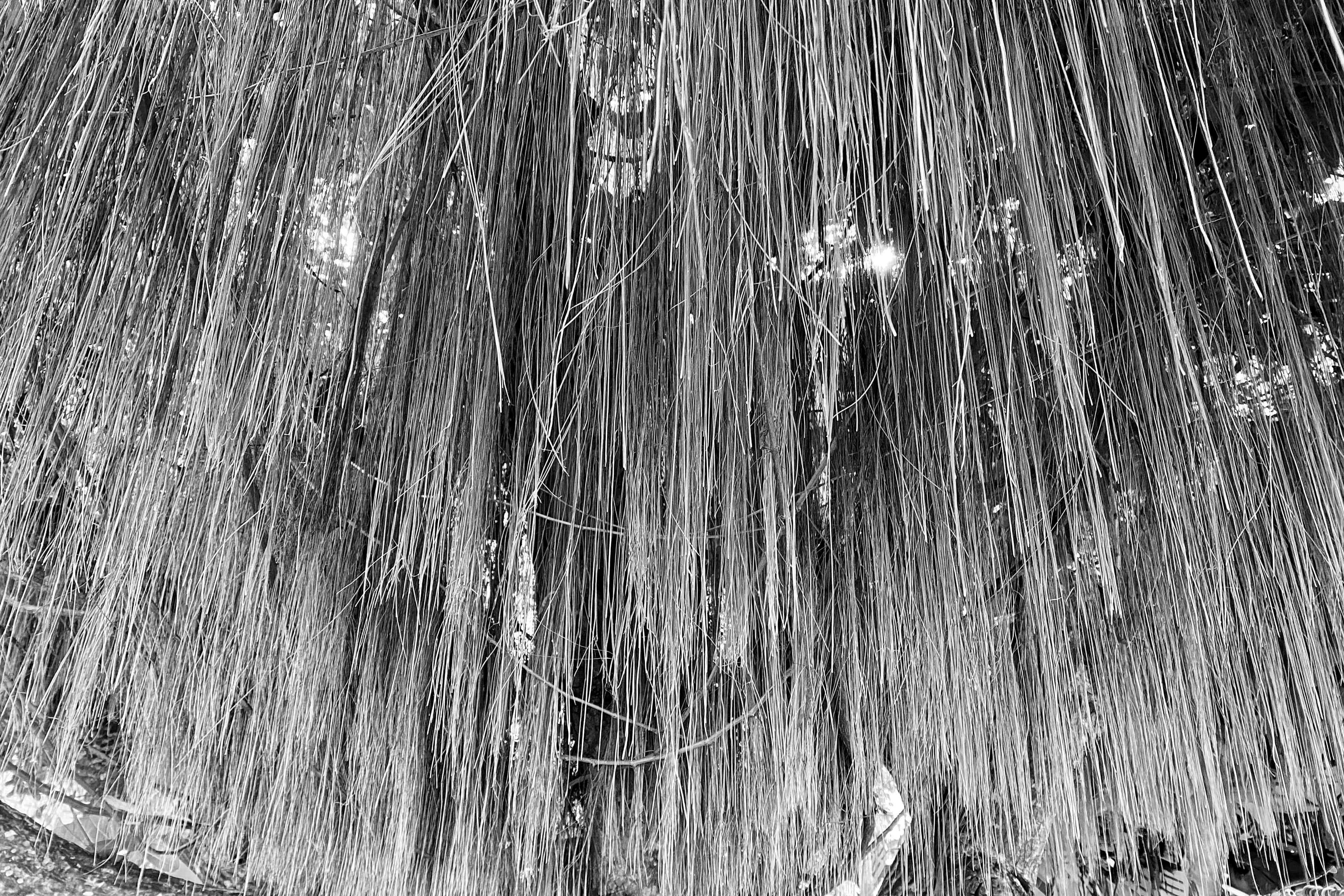 image00006-36-min.jpeg