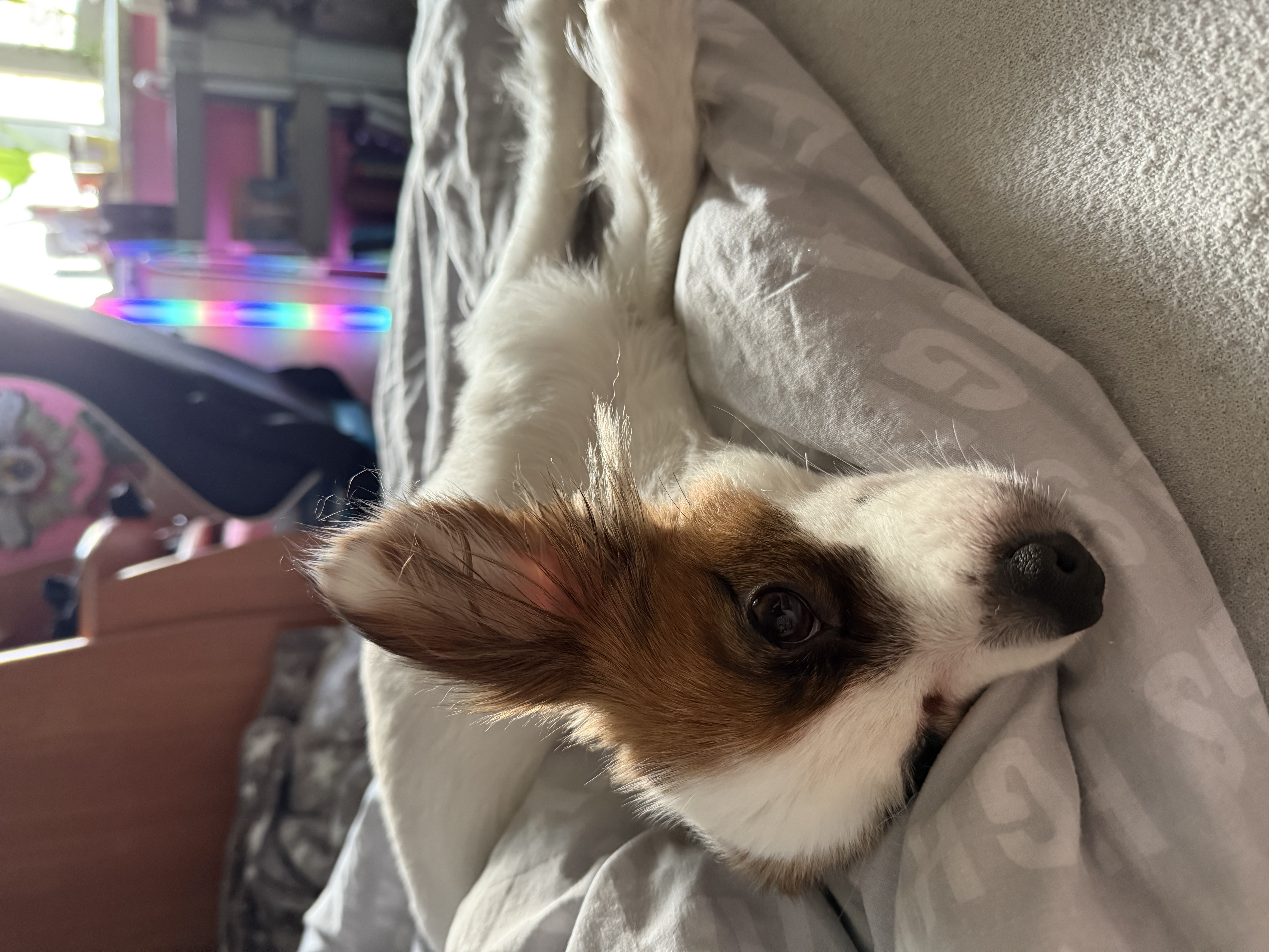 IMG_8809.jpeg