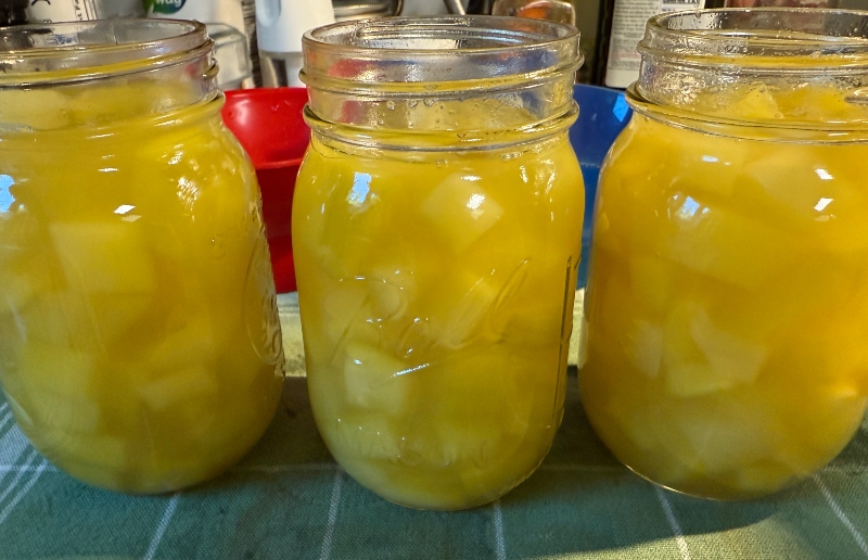 foodiesbeehive-mock-pineapple-zucchini-2.jpg