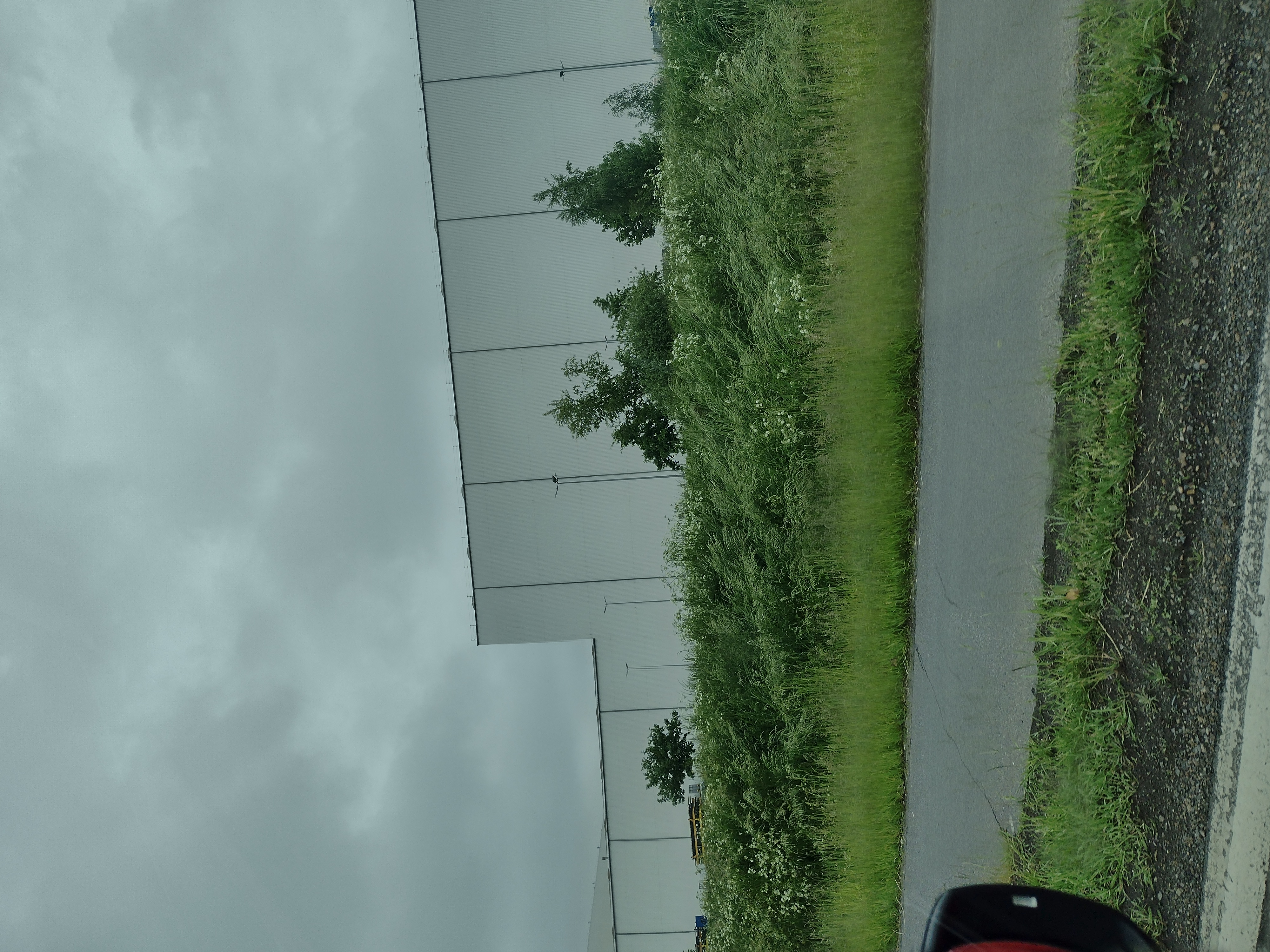IMG_20210605_112312667_HDR.jpg