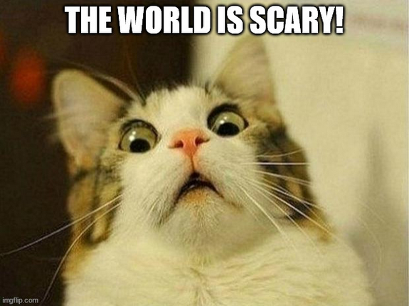 Screenshot 2023-03-18 at 16-29-13 Scared Cat Meme Generator - Imgflip.png