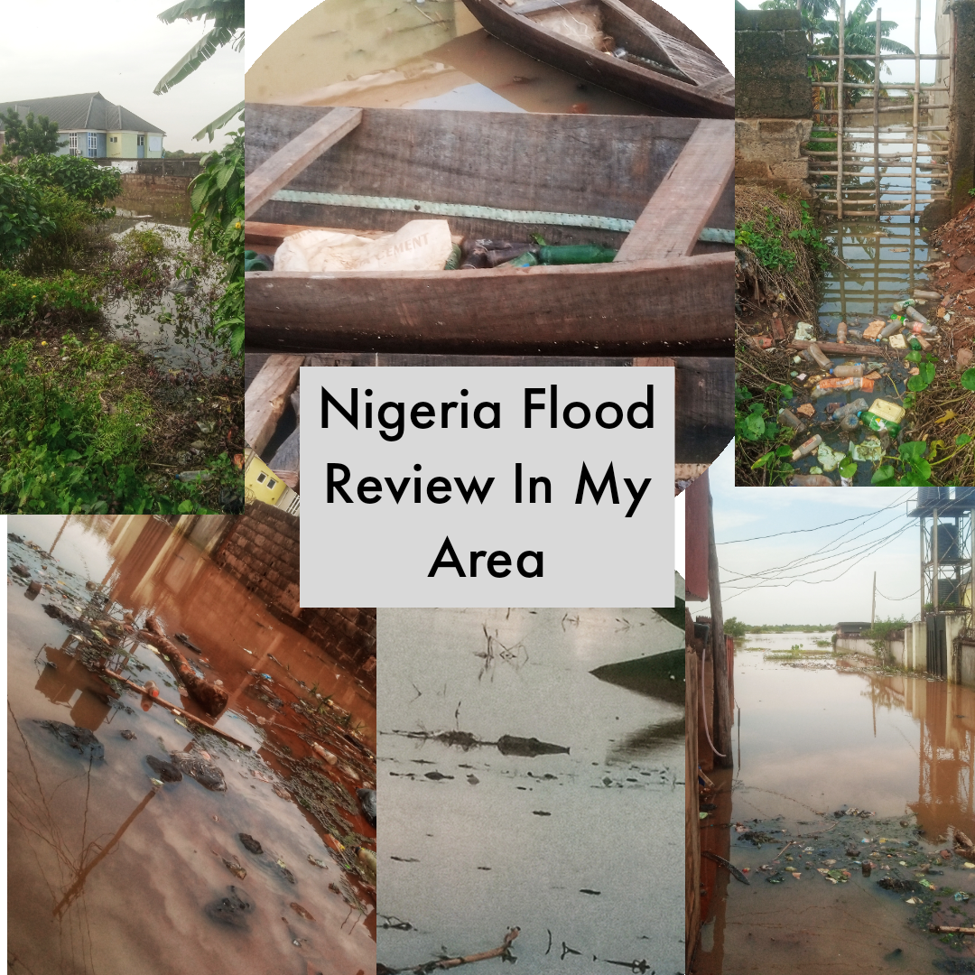 @justinpencilz/review-effect-of-nigeria-flood-in-my-area-asaba-delta-state