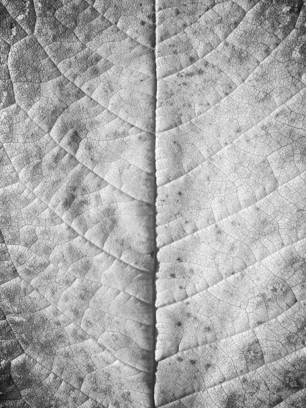 20181011_174223~9.jpg