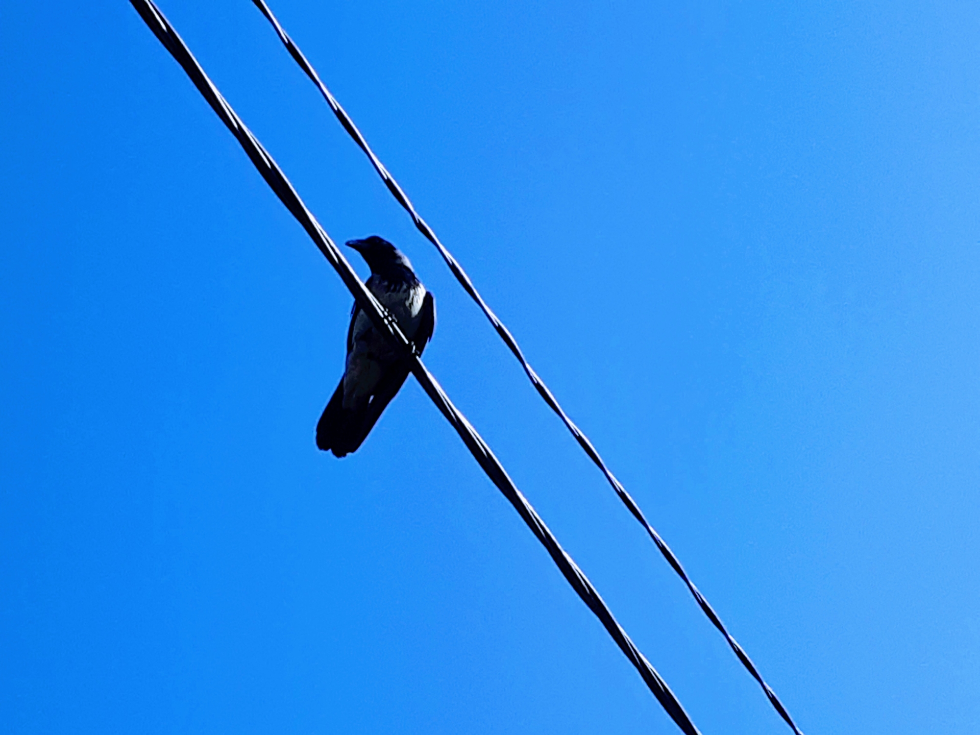 20210609_083727.jpg