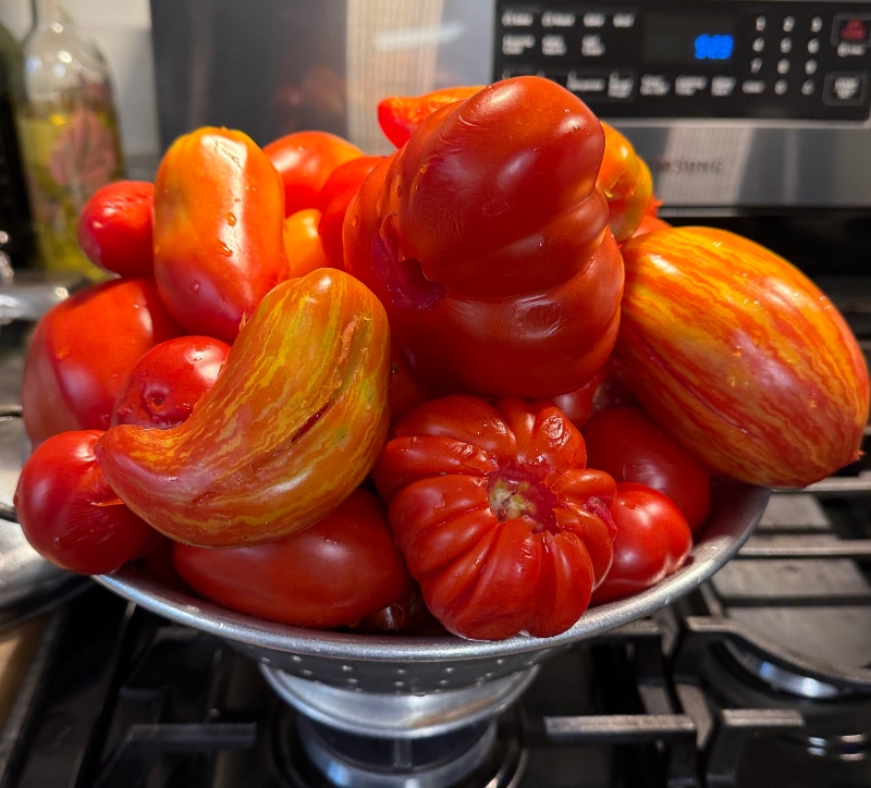 tomatoes-cored.jpg