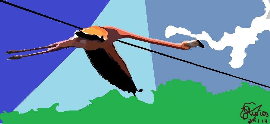 animal atropellado.jpg