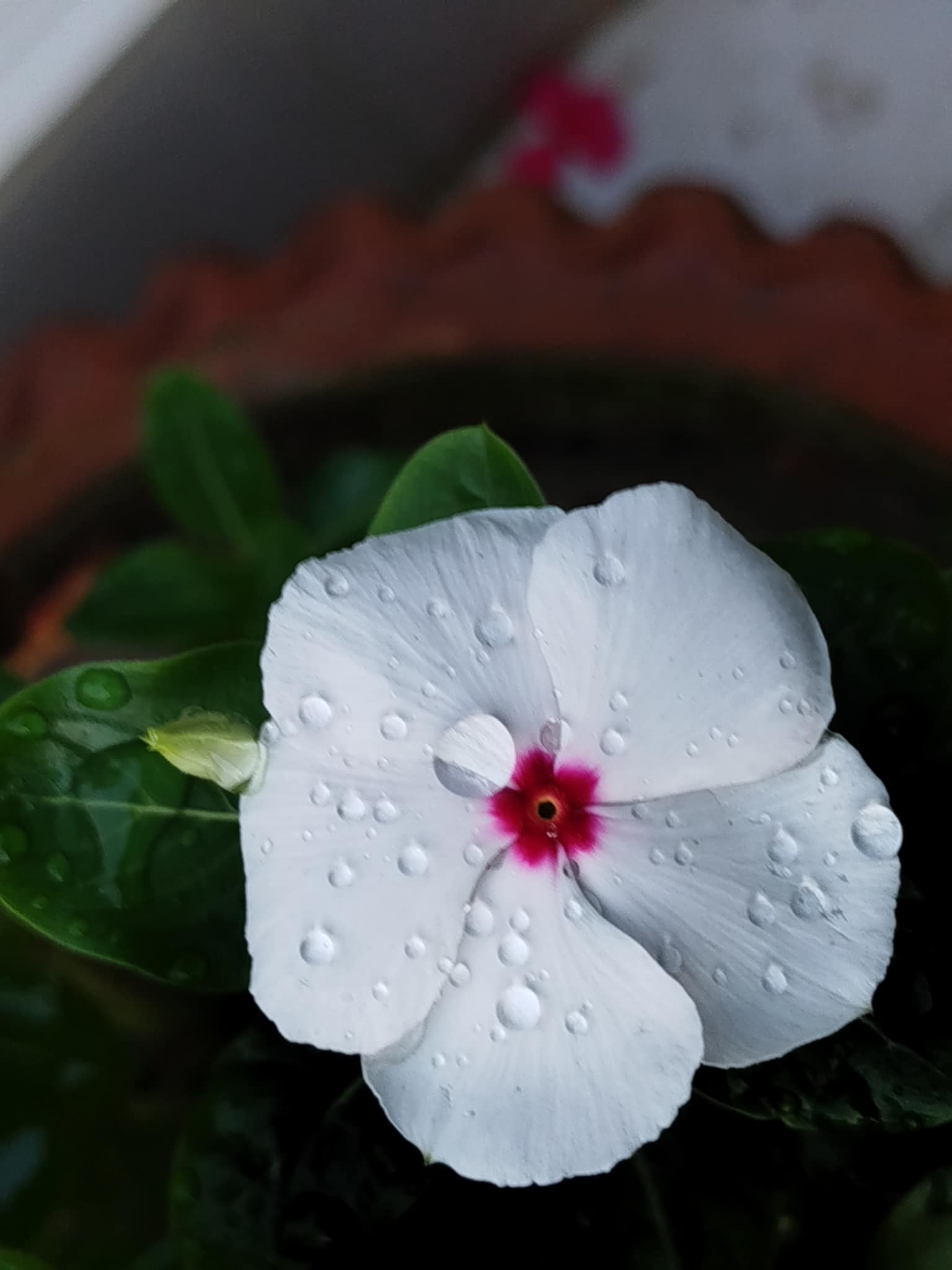 Messenger_creation_02187864-6BC8-4FC6-885C-72FE14A737B2.jpeg