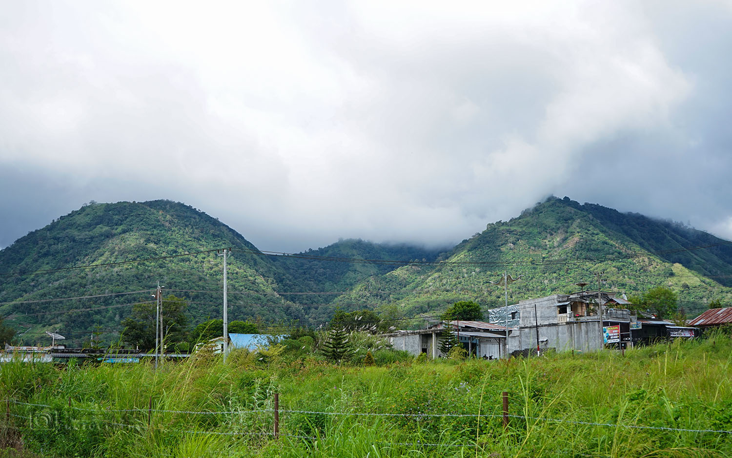 DSC00228.JPG